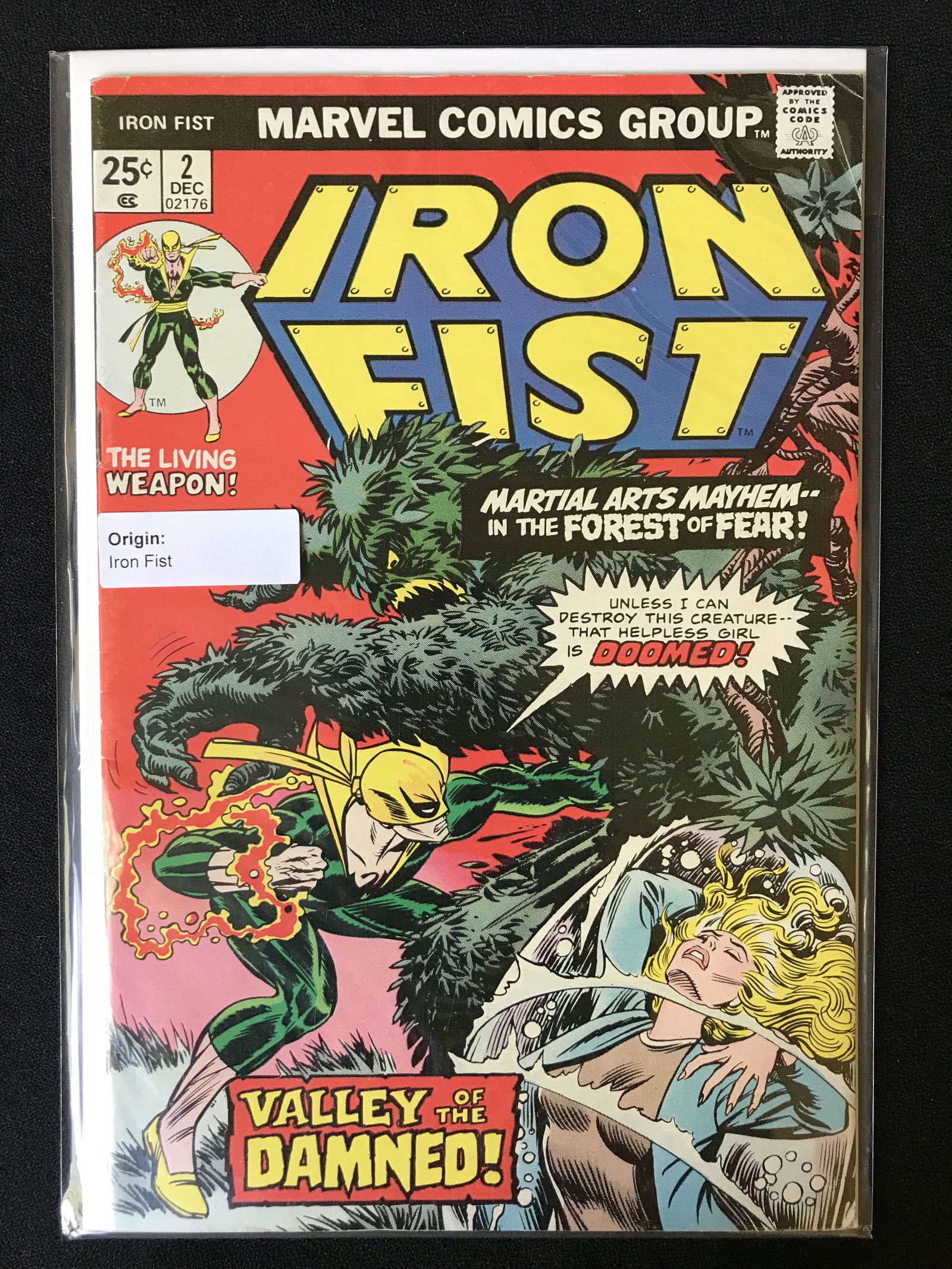 IRON FIST NO.2 (MARVEL COMICS) (1 of 1)