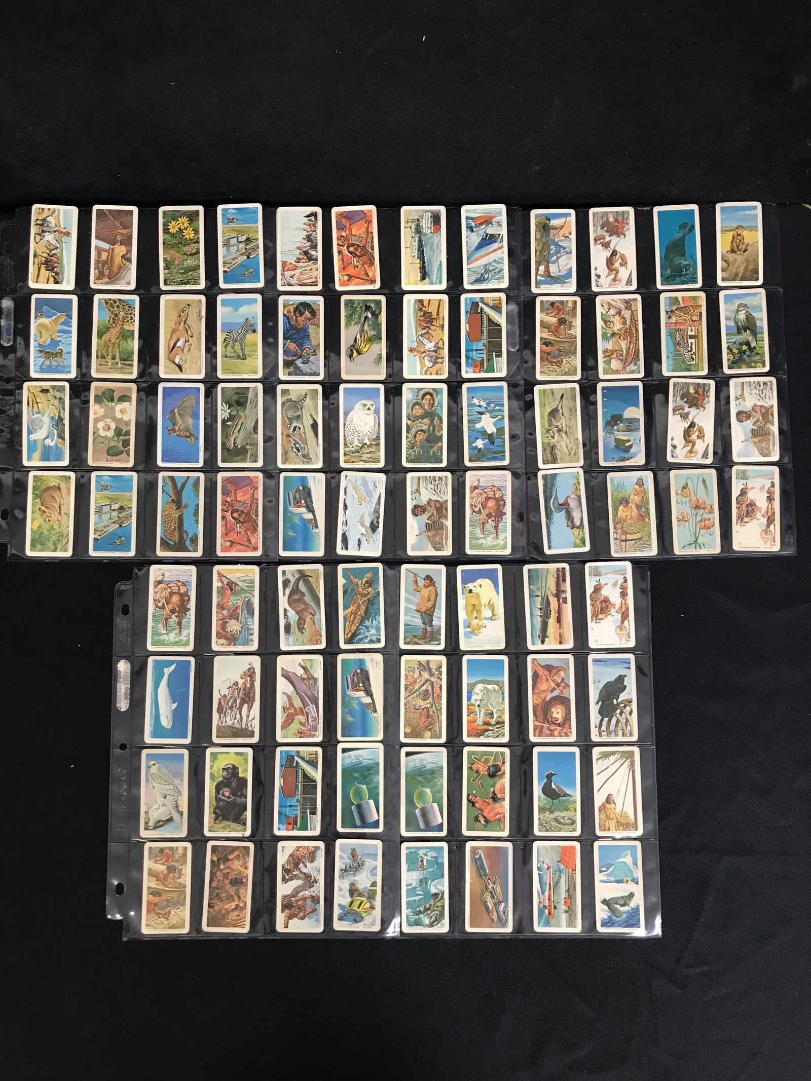 1940'S CIGARETTE CARD LOT (1 of 1)