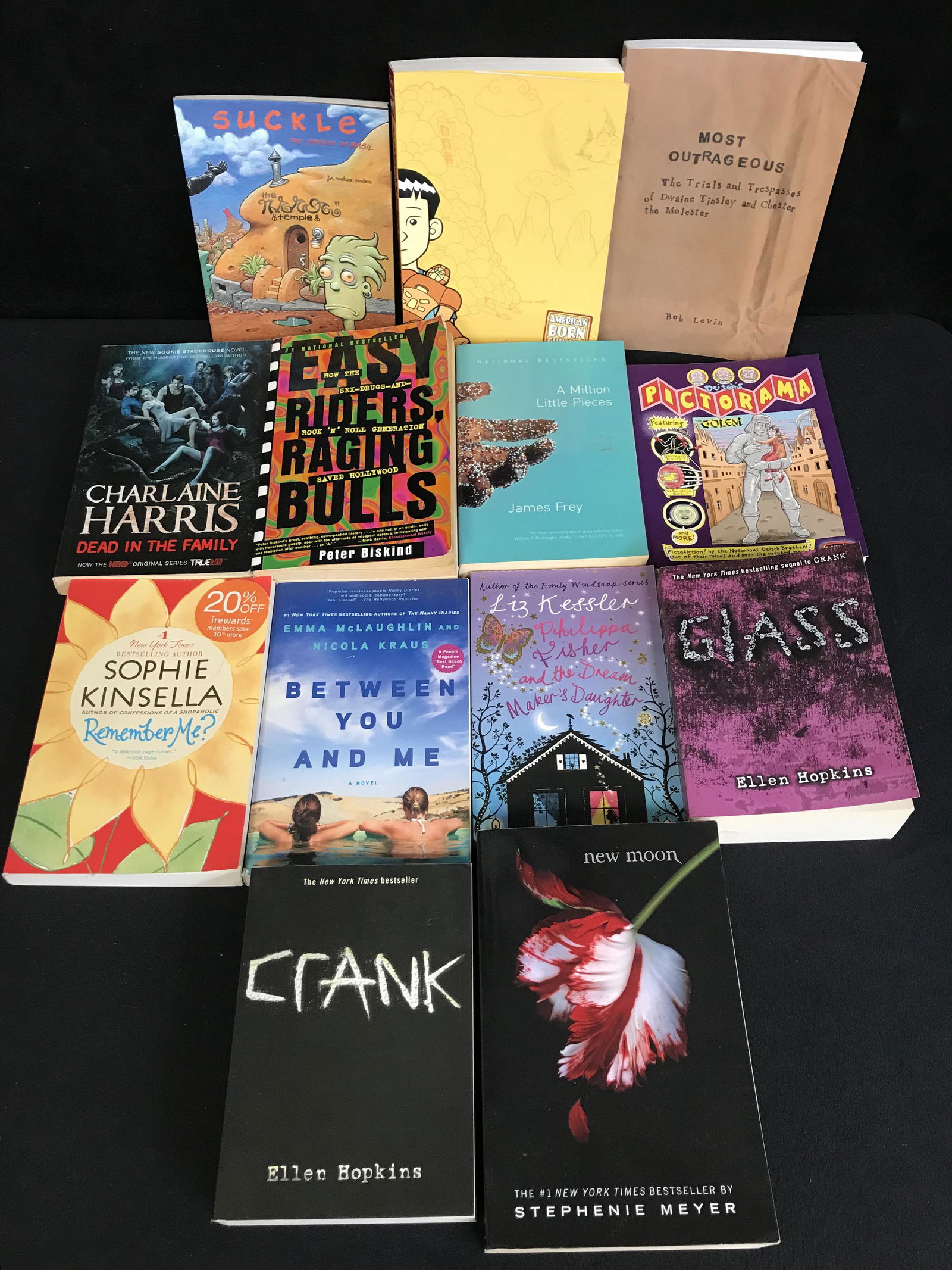 ASSORTED BOOK LOT (1 of 1)