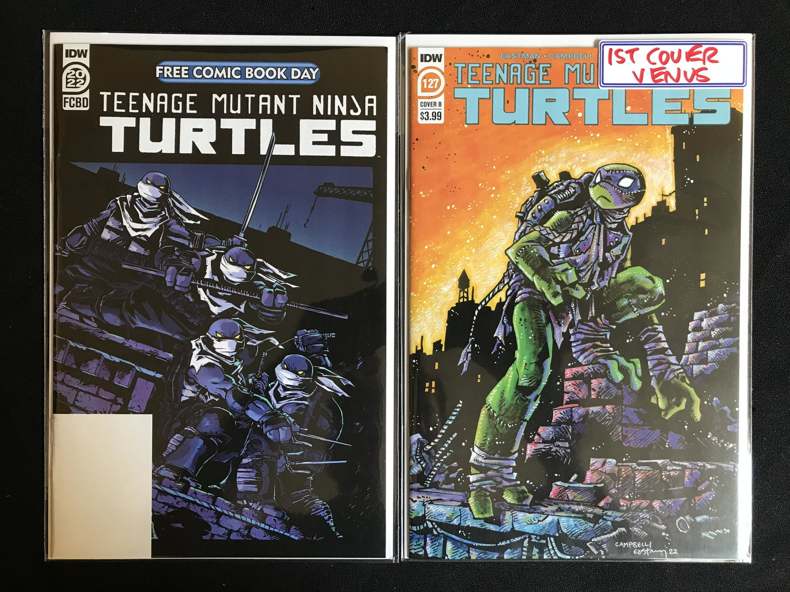 TEENAGE MUTANT NINJA TURTLES COMIC BOOK LOT (IDW): TEENAGE MUTANT NINJA TURTLES COMIC BOOK LOT (IDW)