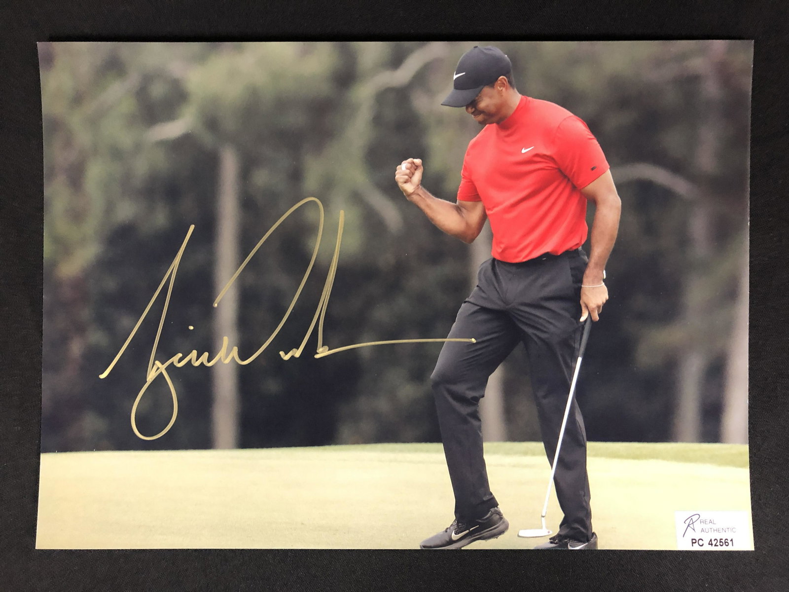 TIGER WOODS SIGNED 8X10 PHOTO (RA COA): TIGER WOODS SIGNED 8X10 PHOTO (RA COA)