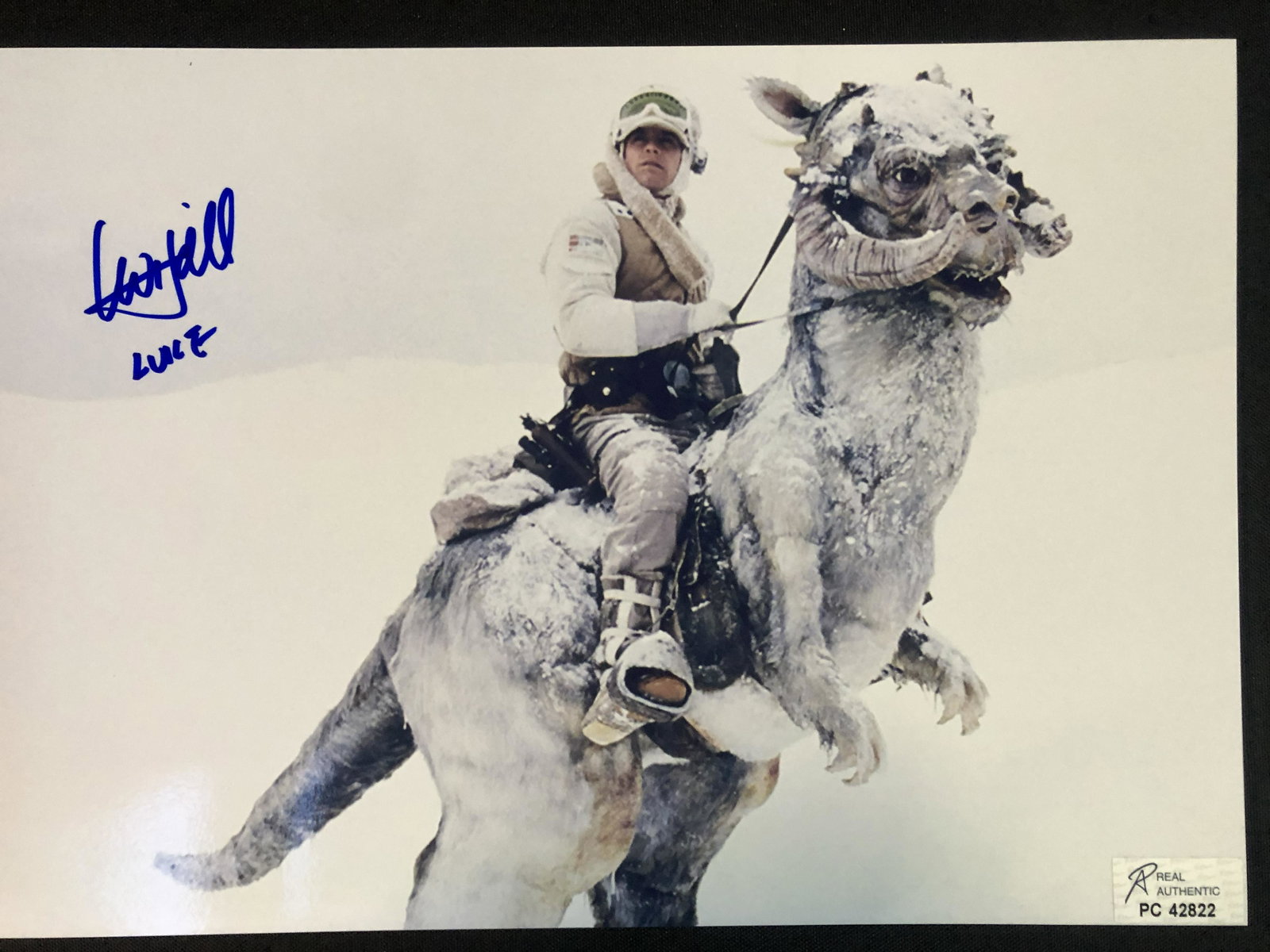 MARK HAMILL SIGNED 8X10 PHOTO (RA COA): MARK HAMILL SIGNED 8X10 PHOTO (RA COA)