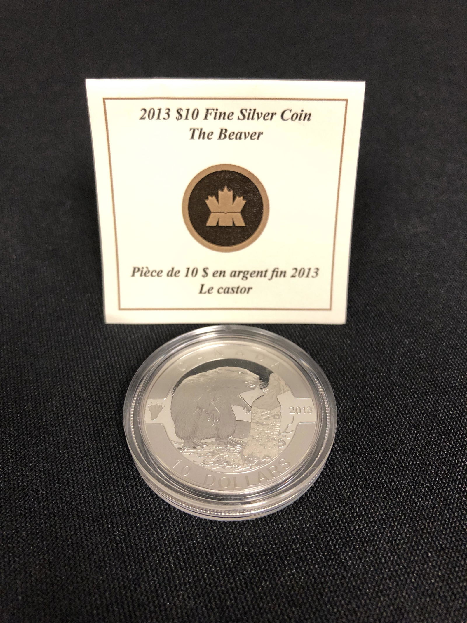 2013 CANADIAN MINT 9999 PROOF 10 DOLLAR SILVER COIN (1 of 2)