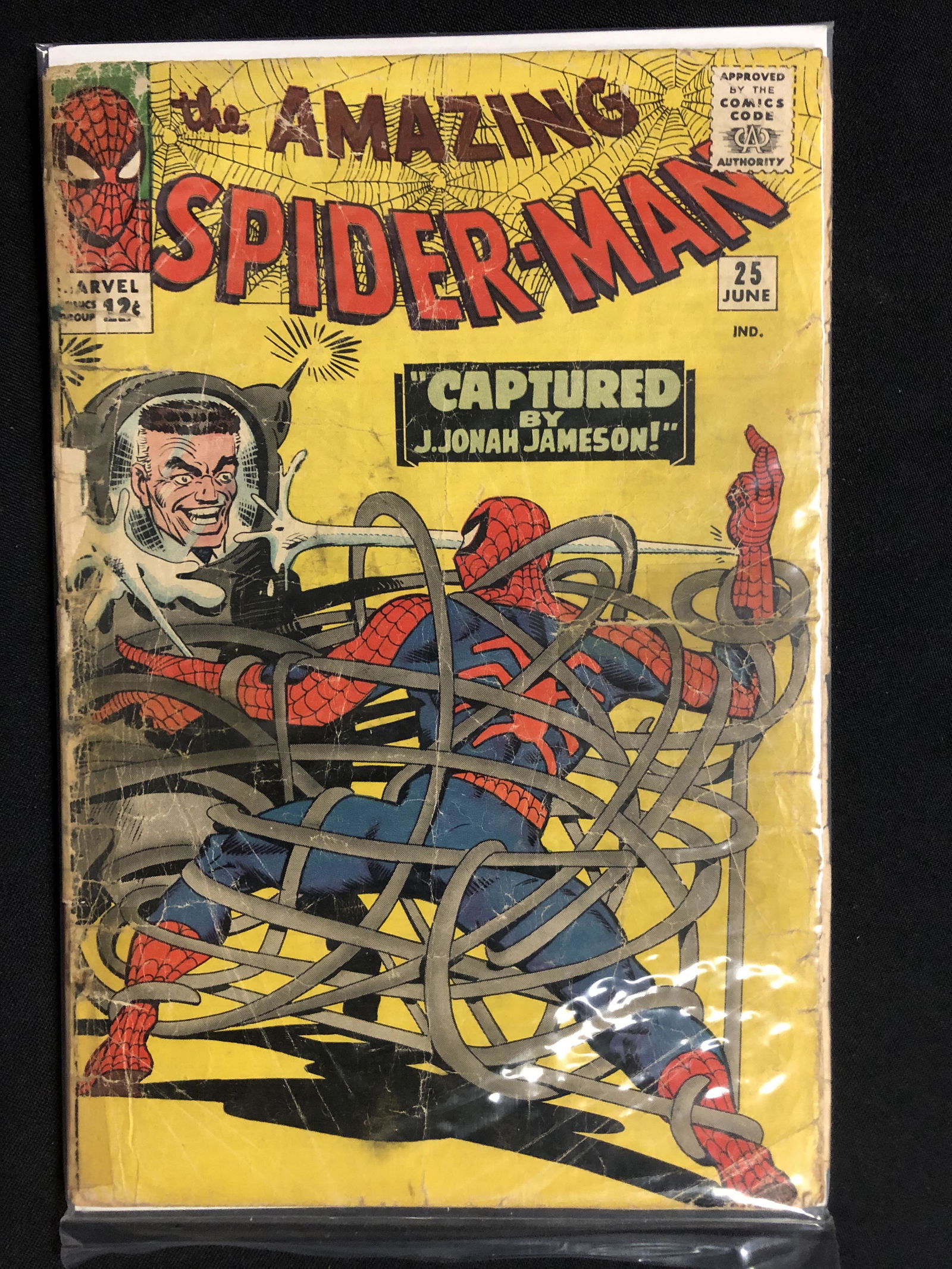 The AMAZING SPIDER-MAN #25 (MARVEL COMICS) (1 of 1)
