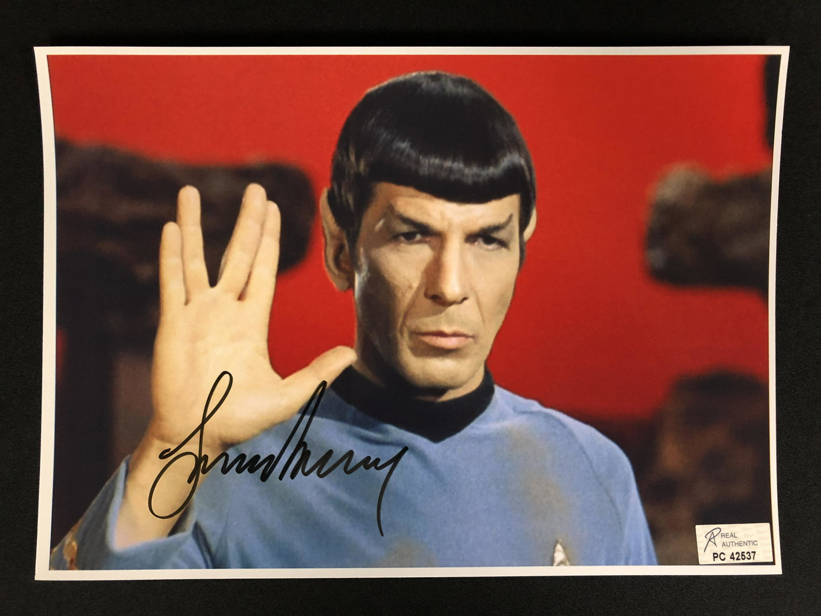 LEONARD NEMOY SIGNED STAR TREK 8 X 10 (RA COA): LEONARD NEMOY SIGNED STAR TREK 8 X 10 (RA COA)