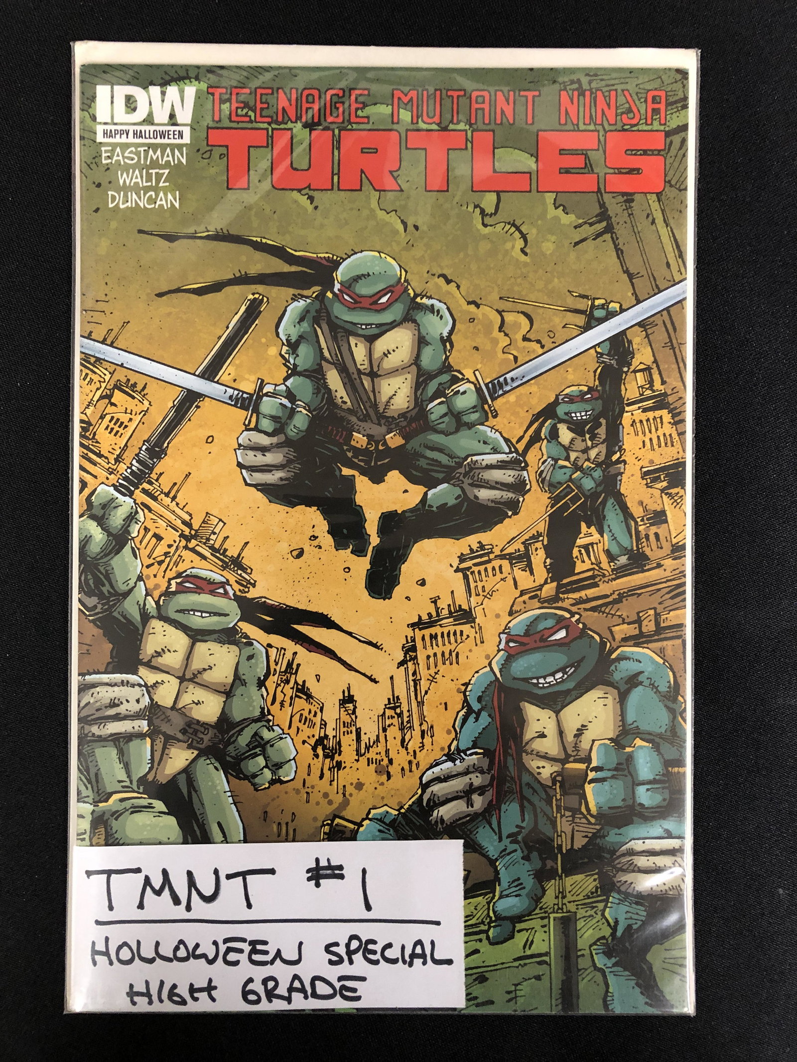 TEENAGE MUTANT NINJA TURTLES NO.1 (IDW): TEENAGE MUTANT NINJA TURTLES NO.1 (IDW)
