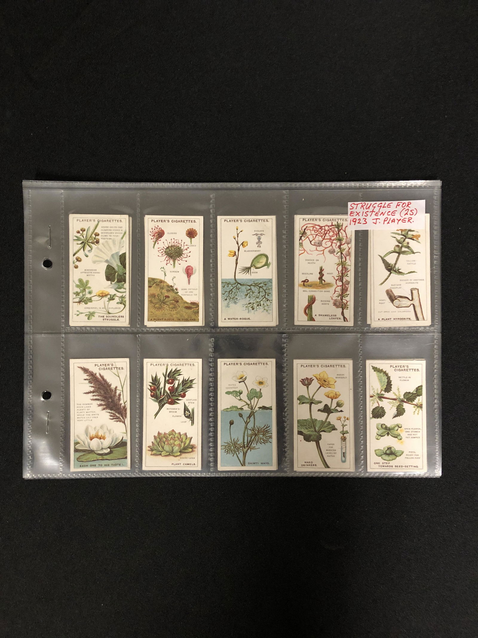 VINTAGE CIGARETTE CARDS LOT (COMPLETE SET) (1 of 2)