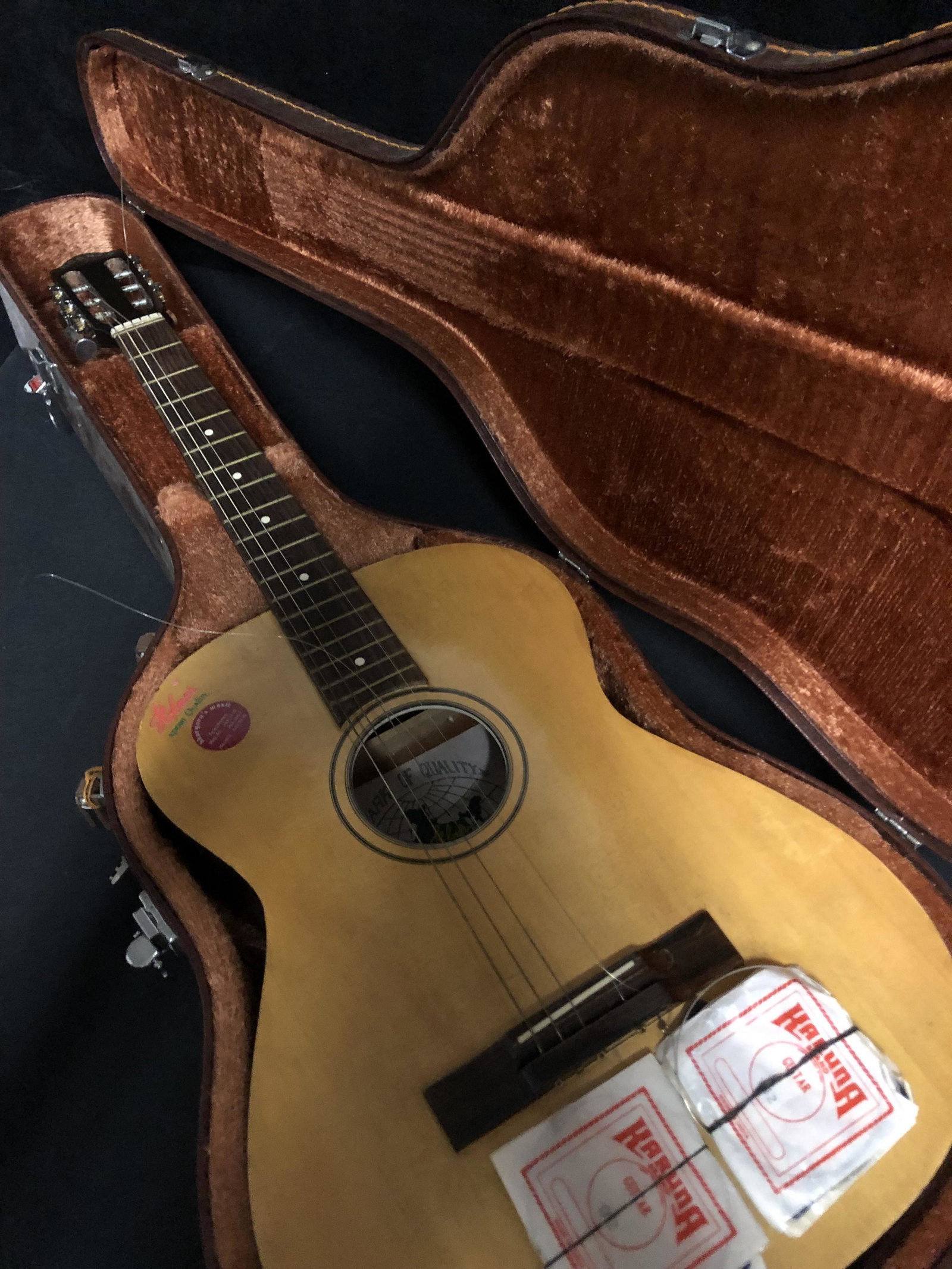 VINTAGE ACOUSTIC GUITAR WITH CASE AND STRINGS: VINTAGE ACOUSTIC GUITAR WITH CASE AND STRINGS