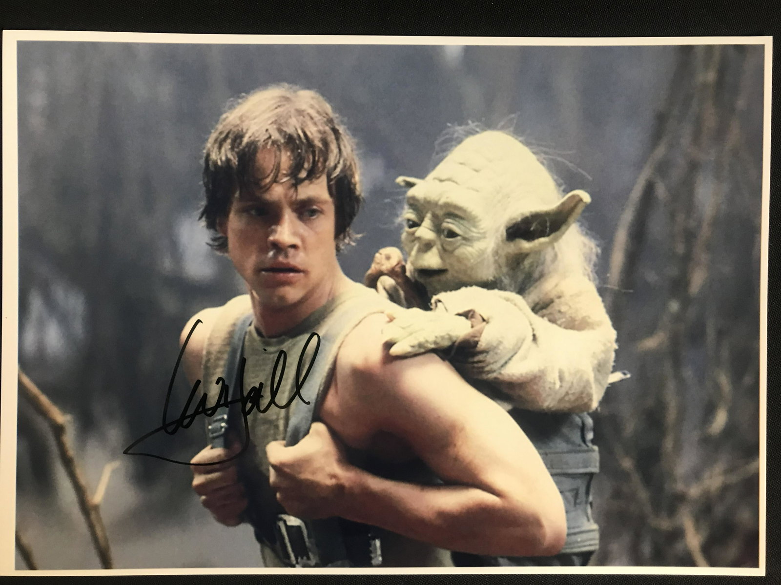 MARK HAMILL SIGNED 8X10 PHOTO (RA COA): MARK HAMILL SIGNED 8X10 PHOTO (RA COA)