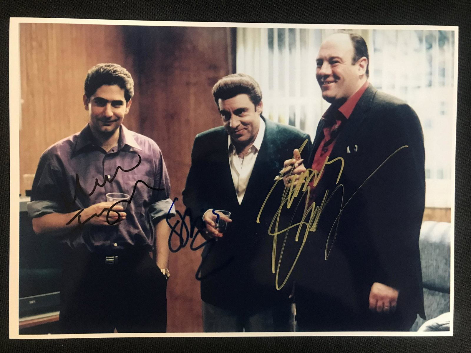 THE SOPRANOS MULTI SIGNED 8X10 PHOTO (RA COA): THE SOPRANOS MULTI SIGNED 8X10 PHOTO (RA COA)