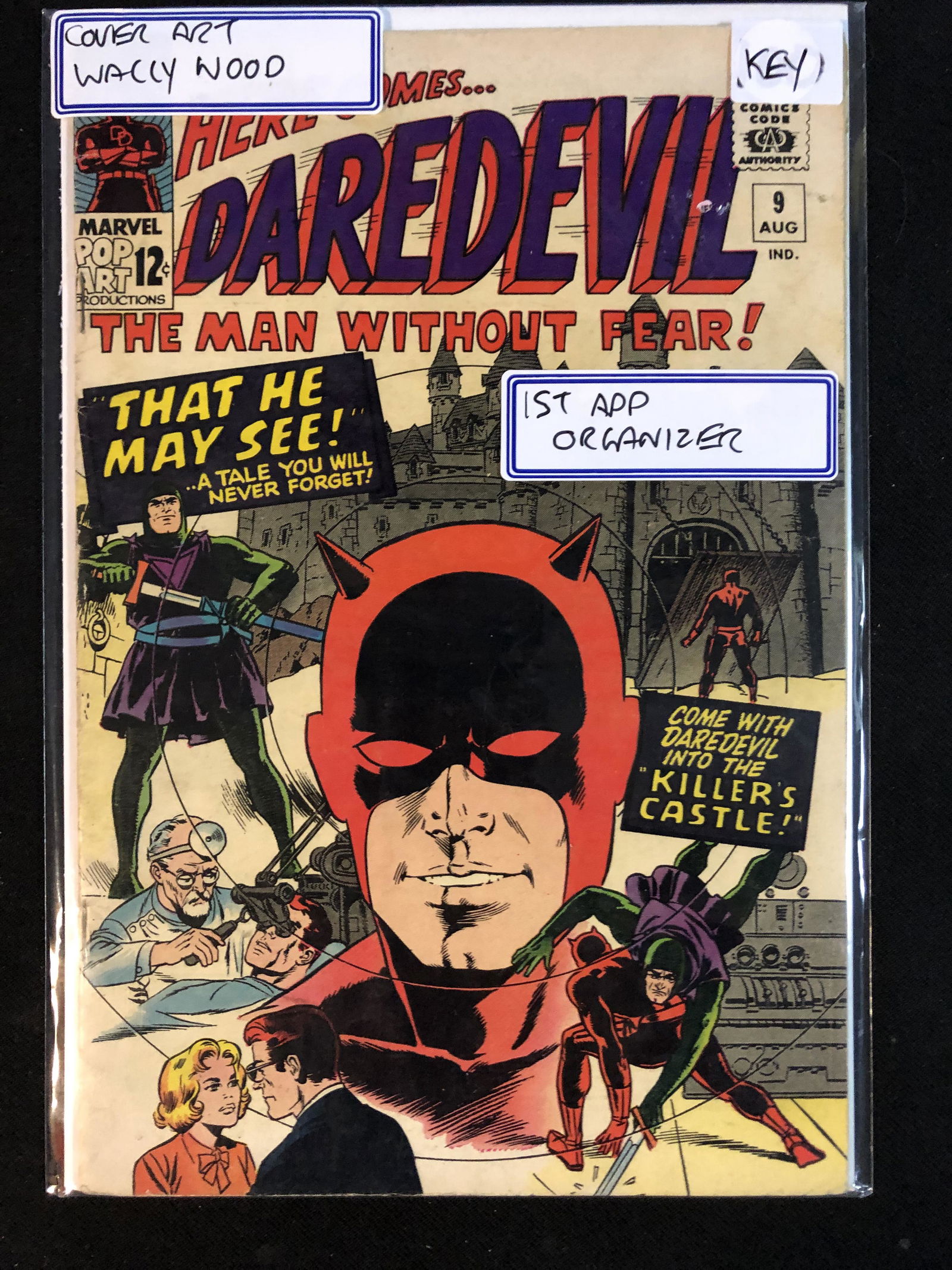 DAREDEVIL NO.9 (MARVEL COMICS) (1 of 1)