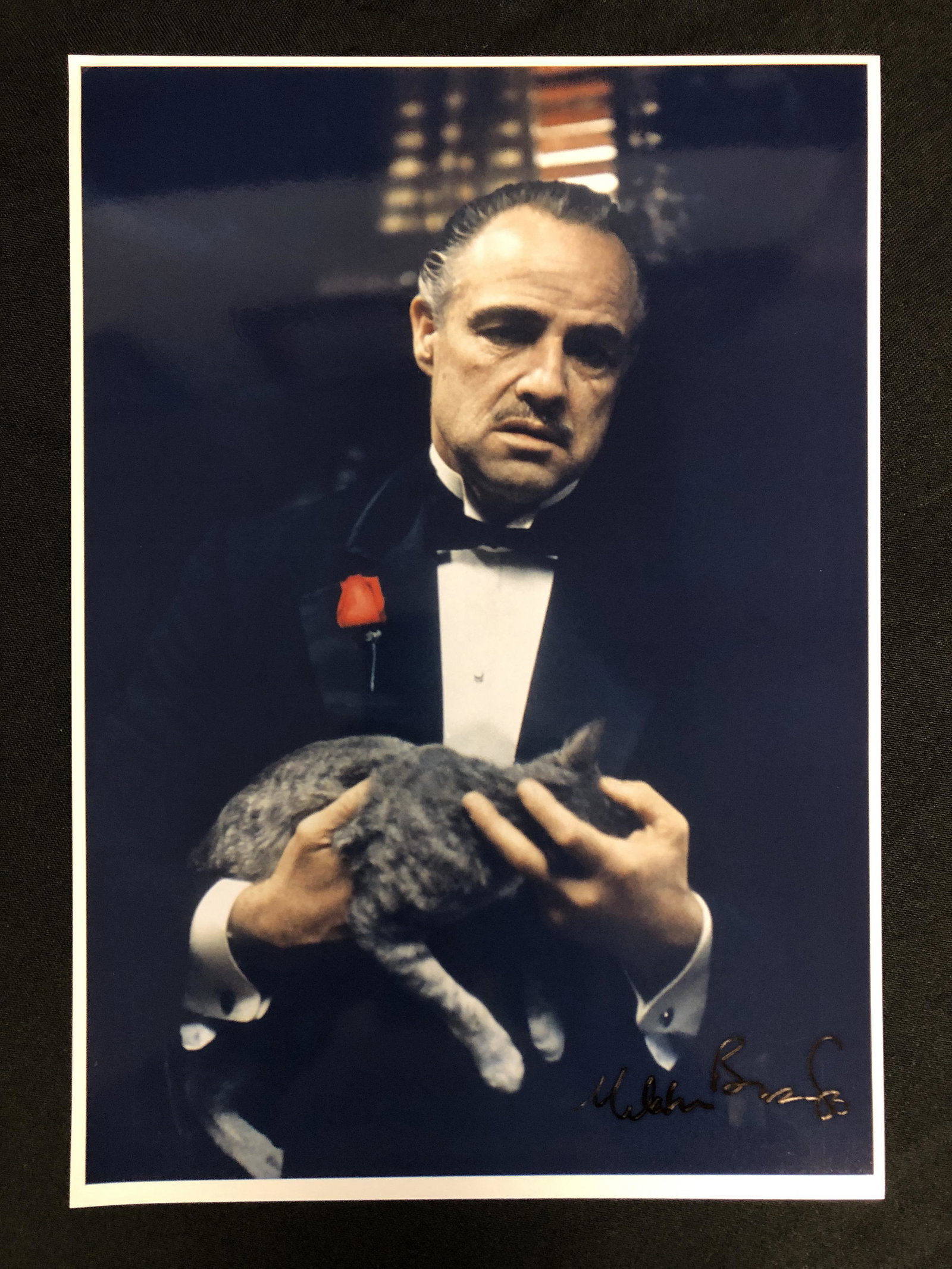 MORLON BRANDO SIGNED THE GODFATHER 8 X 10 (RA COA): MORLON BRANDO SIGNED THE GODFATHER 8 X 10 (RA COA)