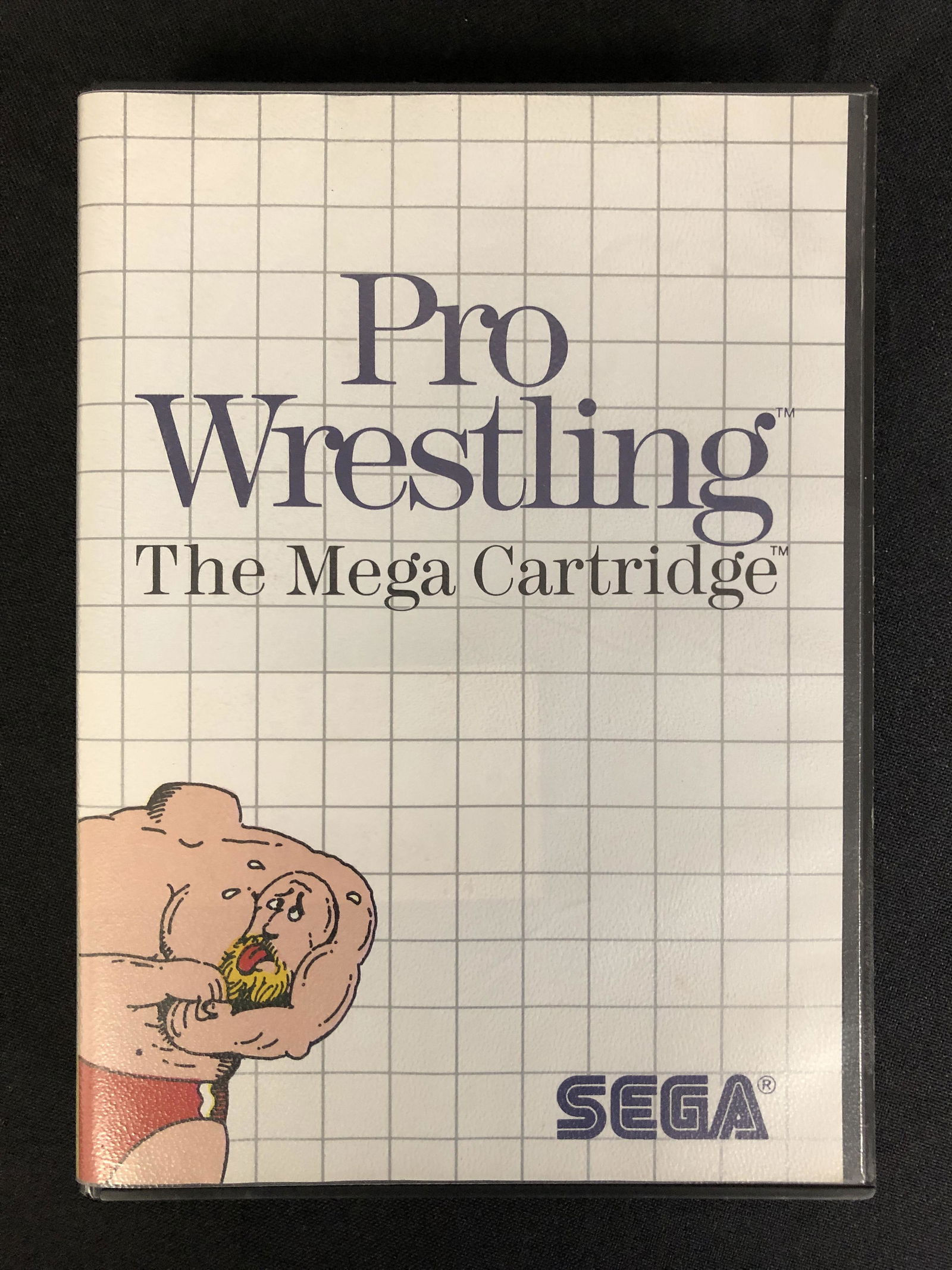 SEGA MASTER SYSTEM PRO WRESTLING COMPLETE WITH INSTRUCTIONS (1 of 1)