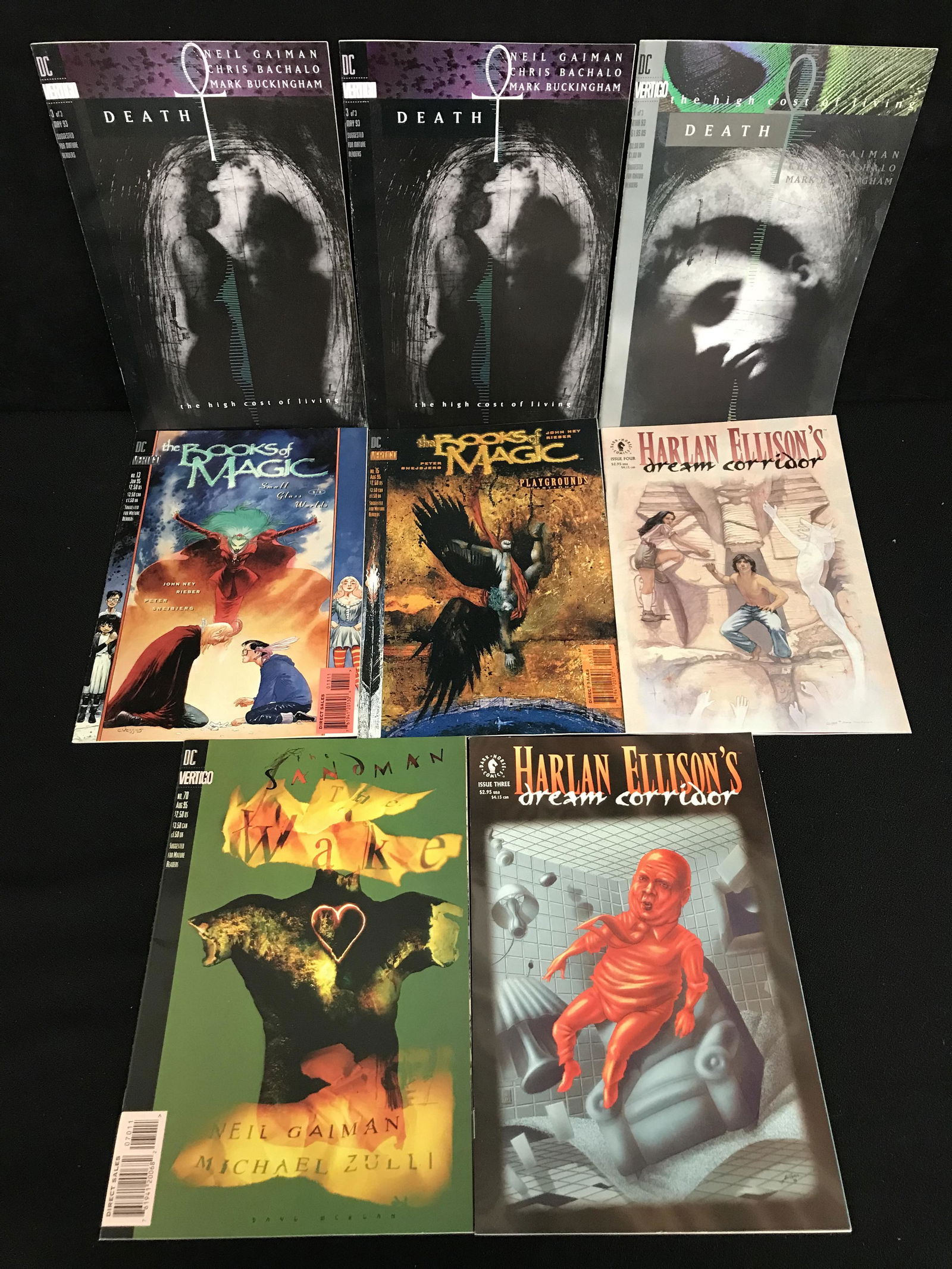 DC VERTIGO DEATH COMIC BOOK LOT (1 of 1)