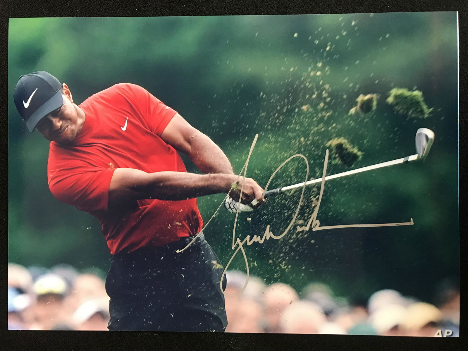 TIGER WOODS SIGNED 8 X 10 (RA COA): TIGER WOODS SIGNED 8 X 10 (RA COA)