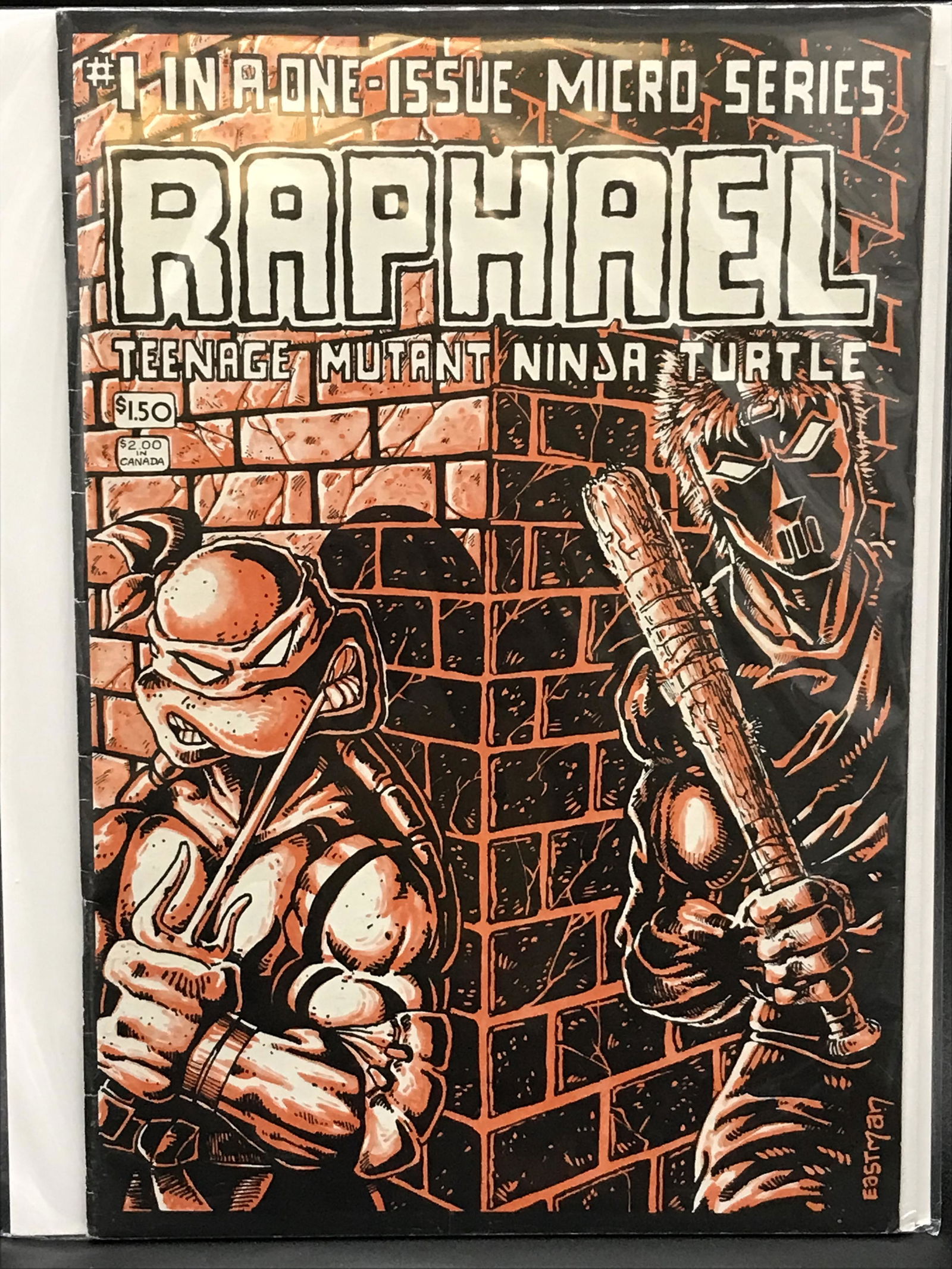 TEENAAGE MUTANT NINJA TURTLES #1 COMIC BOOK (NOT FIRST PRINT) (1 of 1)