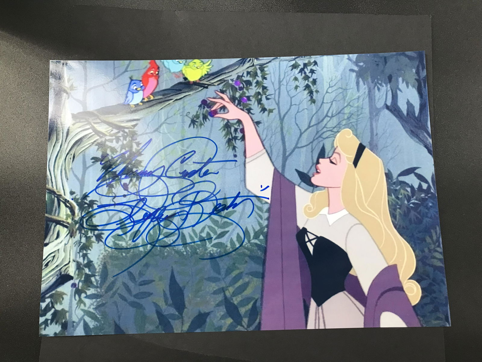 MARY COSTA SIGNED SLEEPING BEAUTY 8 X 10 (RA COA) (1 of 2)
