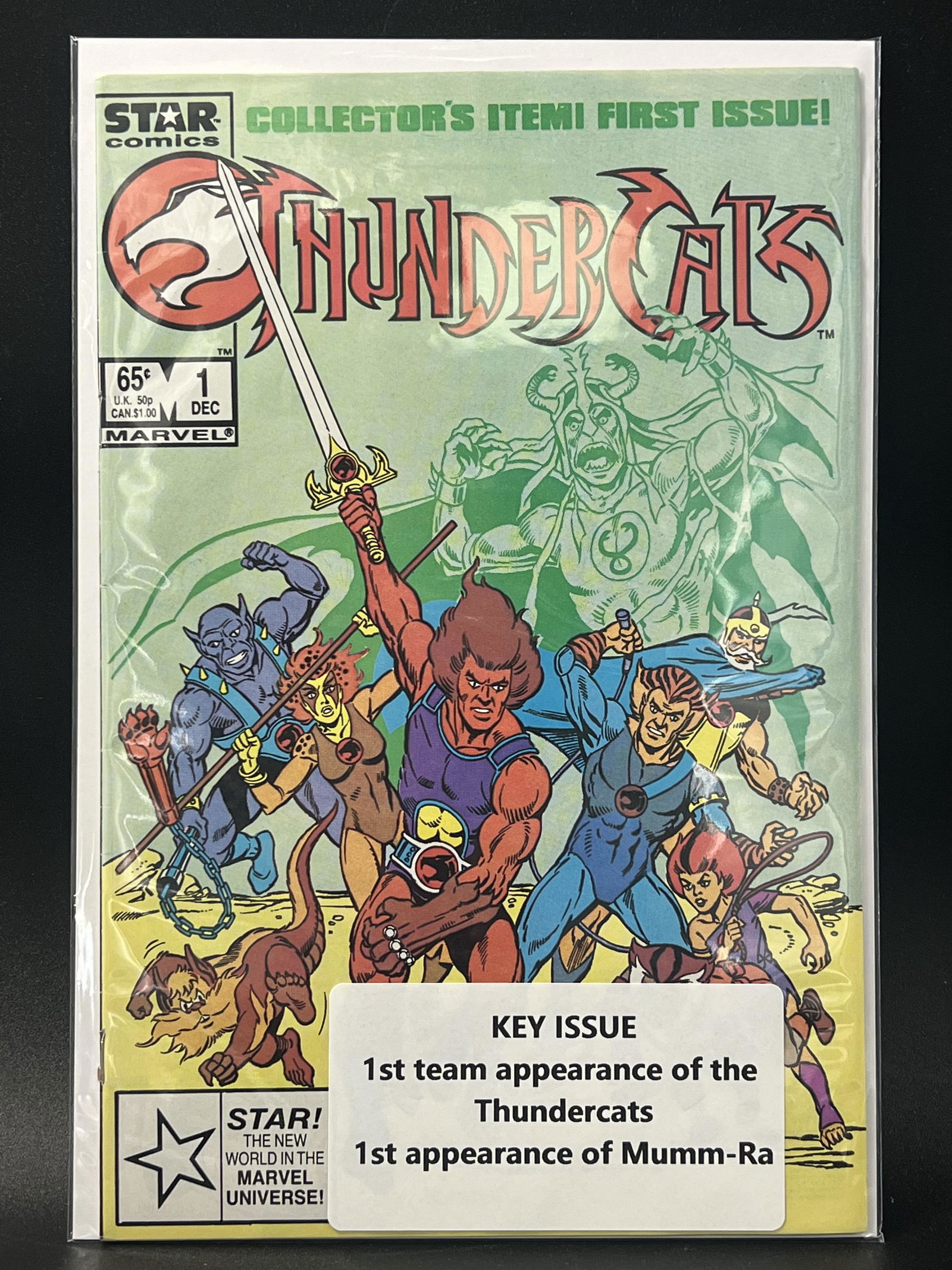 THUNDERCATS #1 (STAR COMICS) (1 of 1)