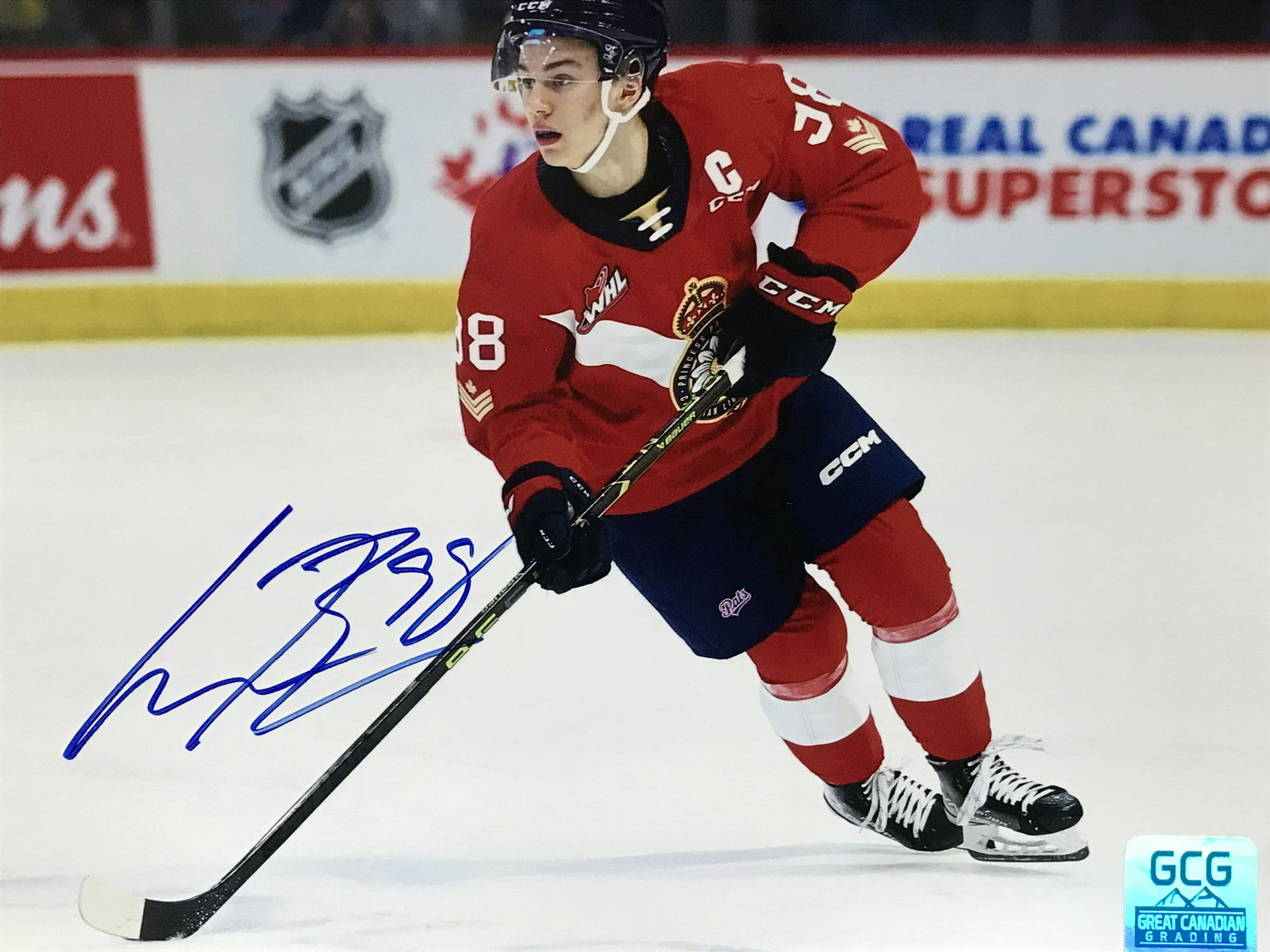 CONNOR BEDARD SIGNED 8 X 10 (GCG HOLO): CONNOR BEDARD SIGNED 8 X 10 (GCG HOLO)