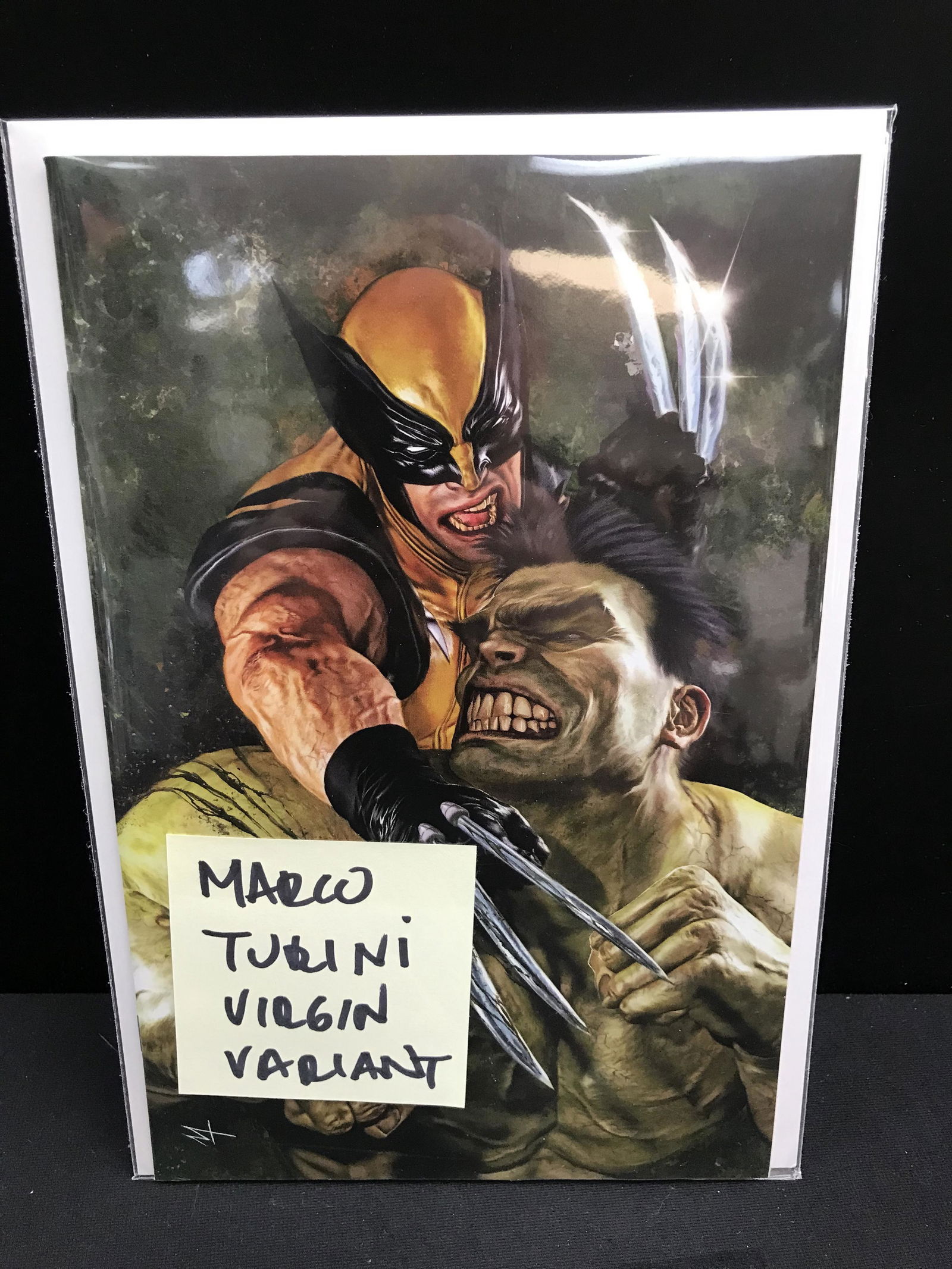 WOLVERINE  AND HULK   (MARVEL COMICS) (1 of 1)