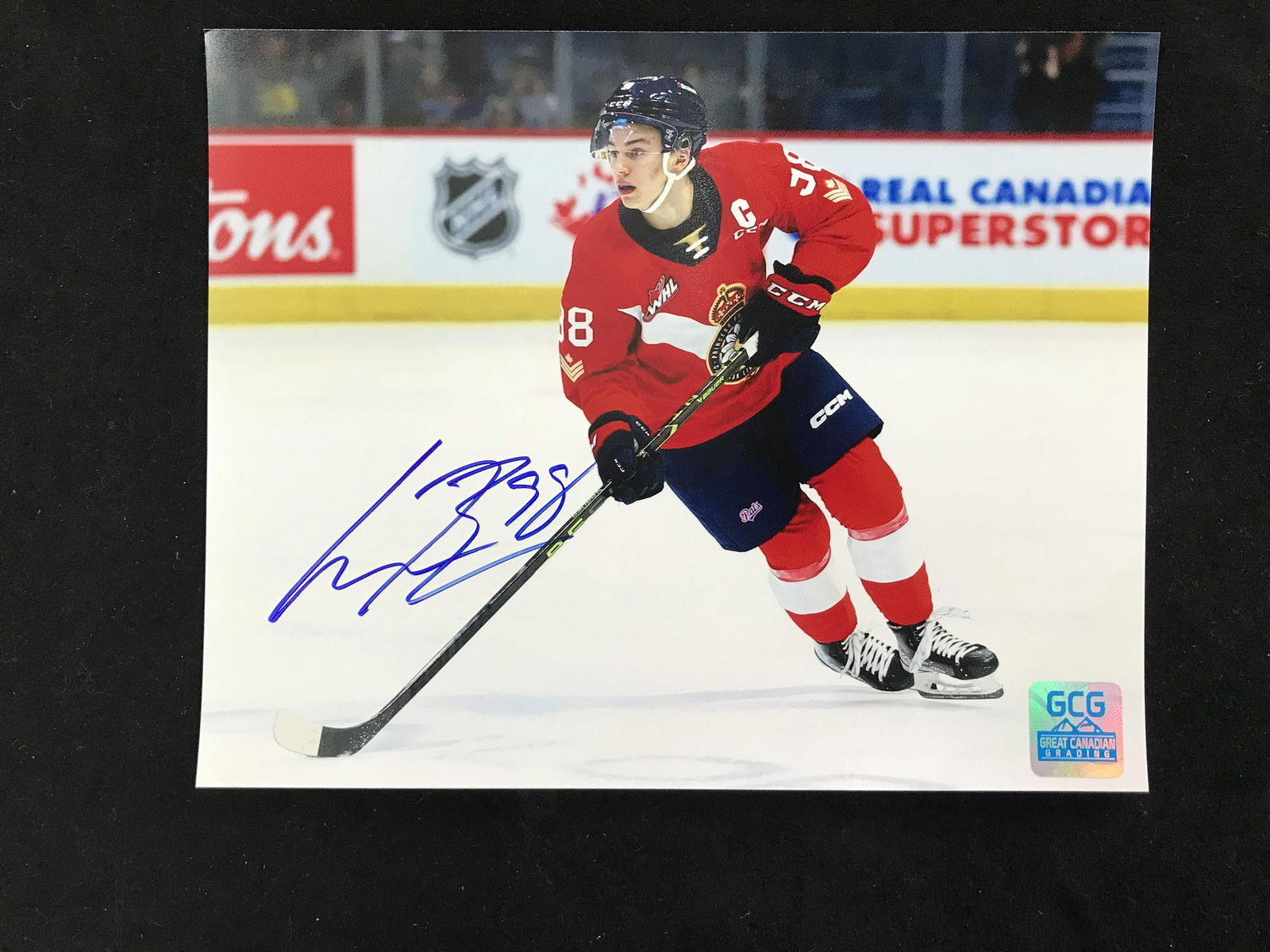 SIGNED WHL CONNOR BEDARD SIGNED 8X10 (GCG COA) (1 of 1)