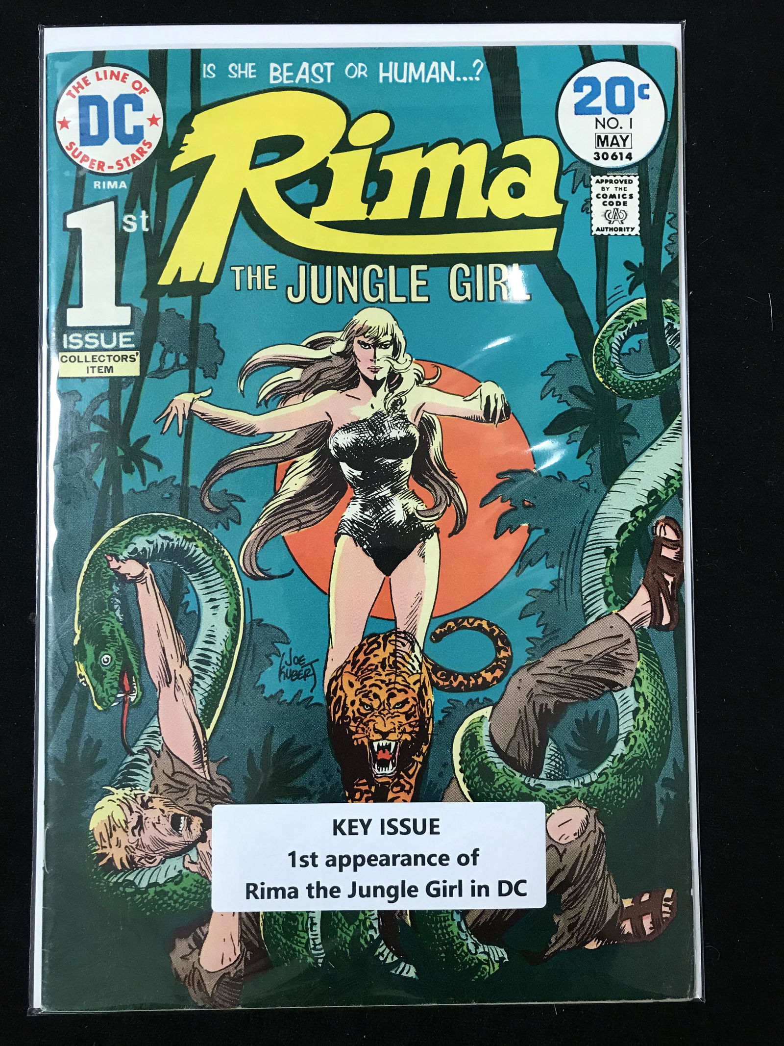 1974 DC COMICS RIMA THE JUNGLE GIRL NO. 1 (1 of 1)