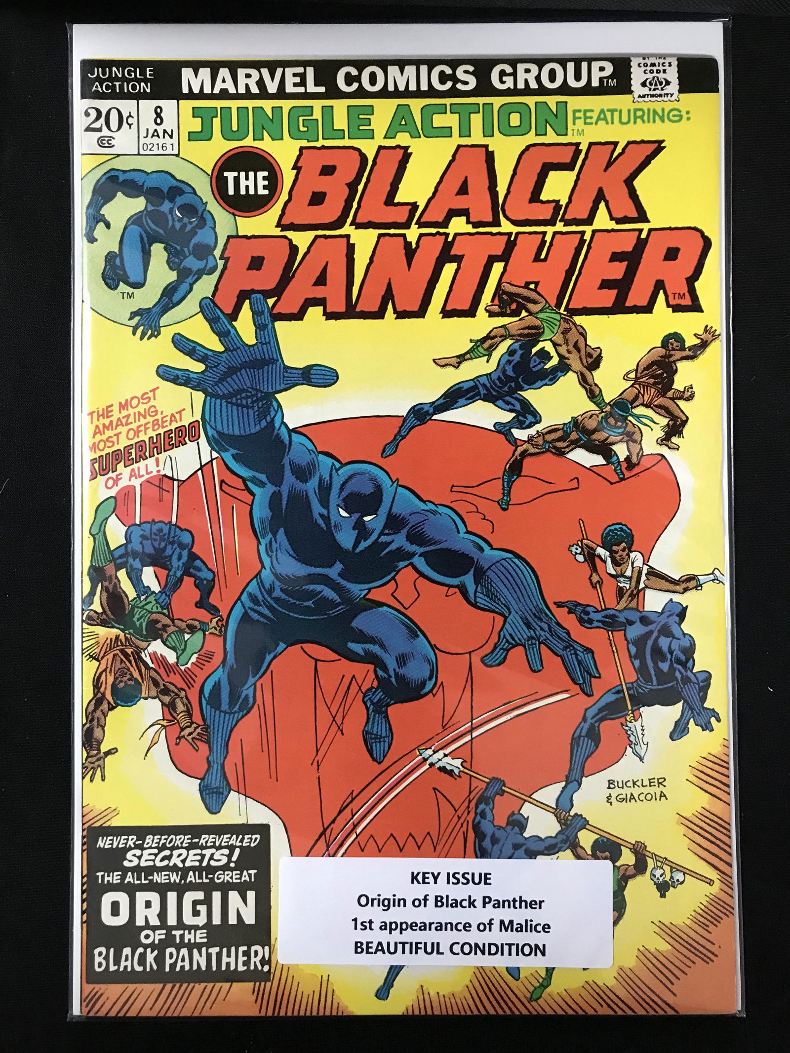 1974 MARVEL COMICS BLACK PANTHER NO. 8 (1 of 1)