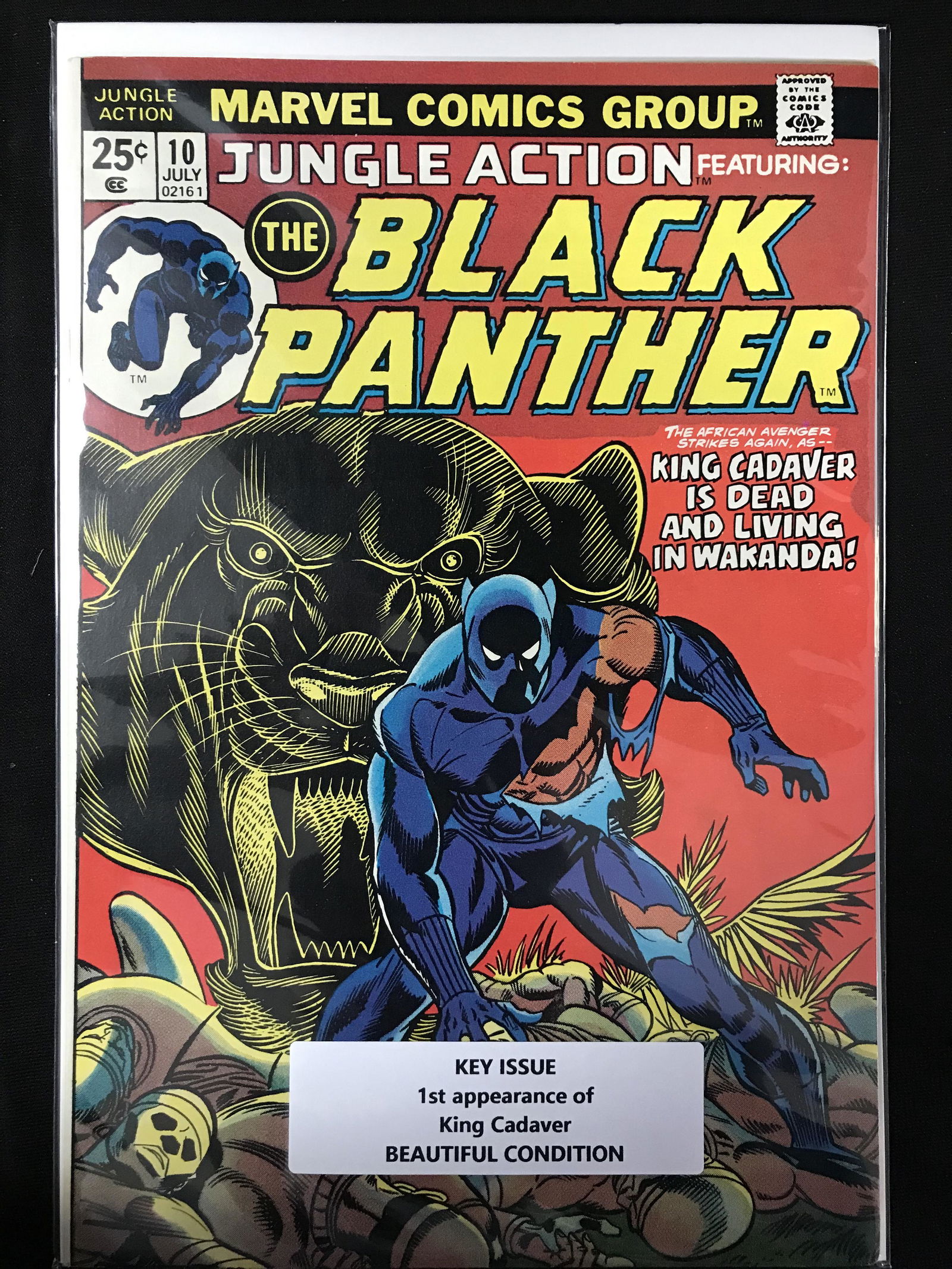 1972 MARVEL COMICS BLACK PANTHER NO. 10 (1 of 1)