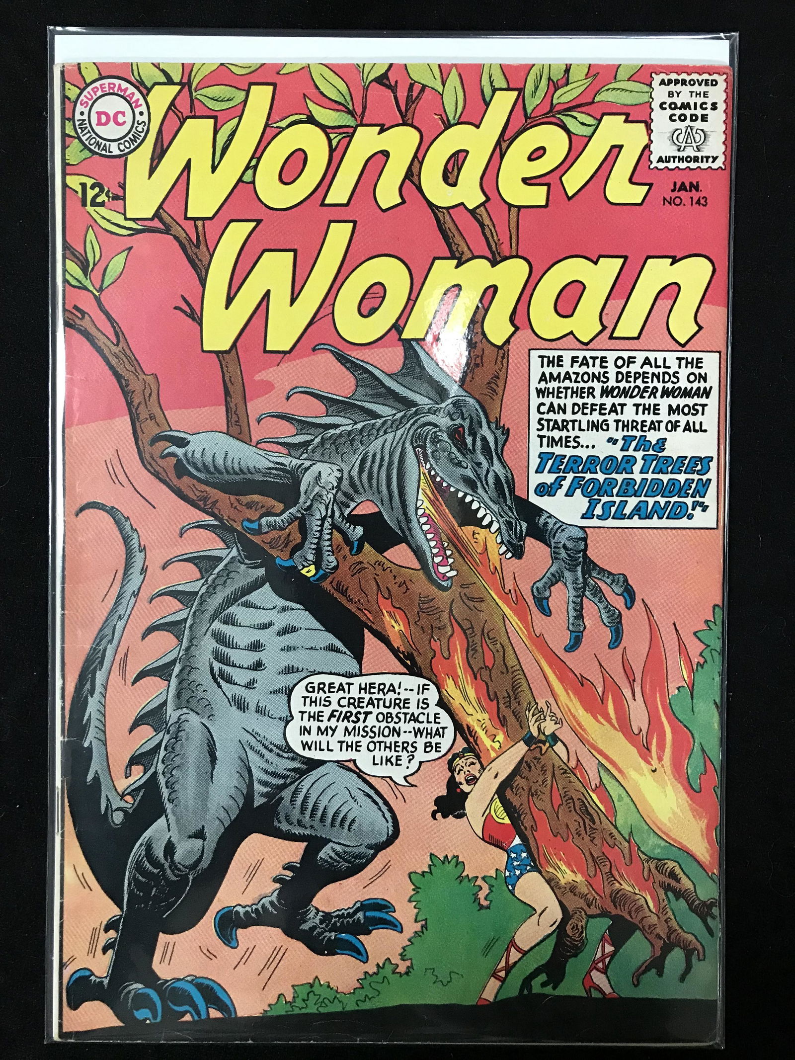 WONDER WOMAN  # 143   (DC COMICS) (1 of 1)