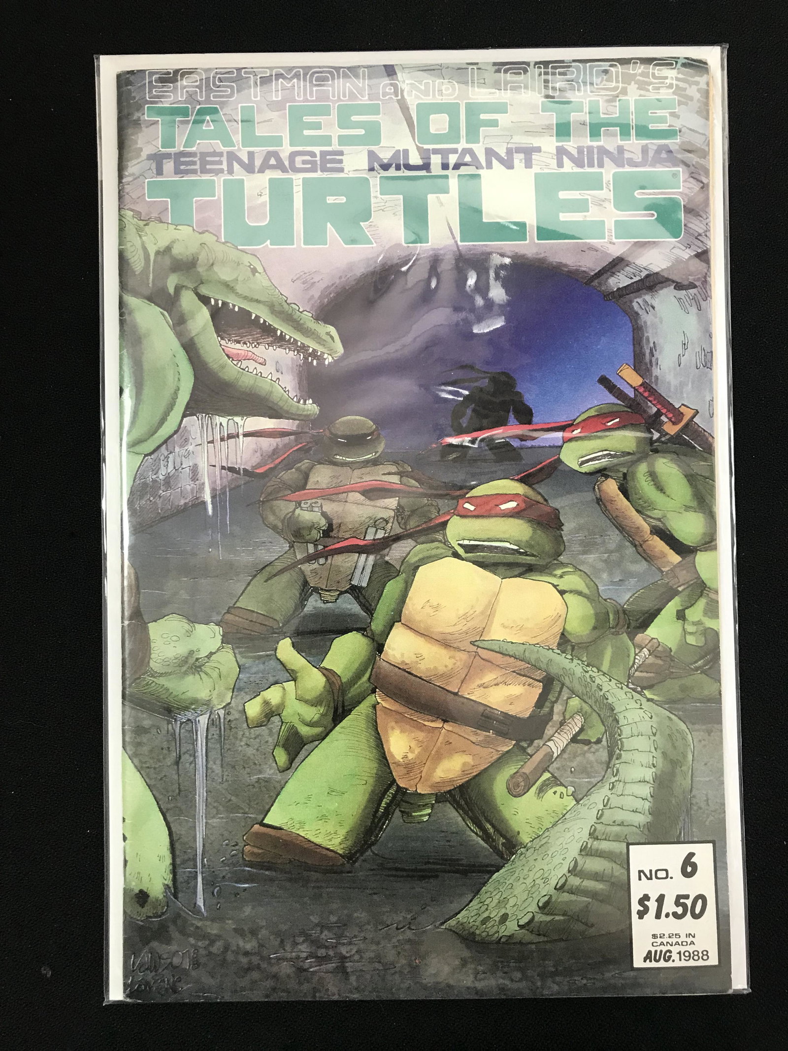 TEENAGE MUTANT NINJA TURTLES #6 ( EASTMAN AND LAIRD'S COMICS): TEENAGE MUTANT NINJA TURTLES #6 ( EASTMAN AND LAIRD'S COMICS)