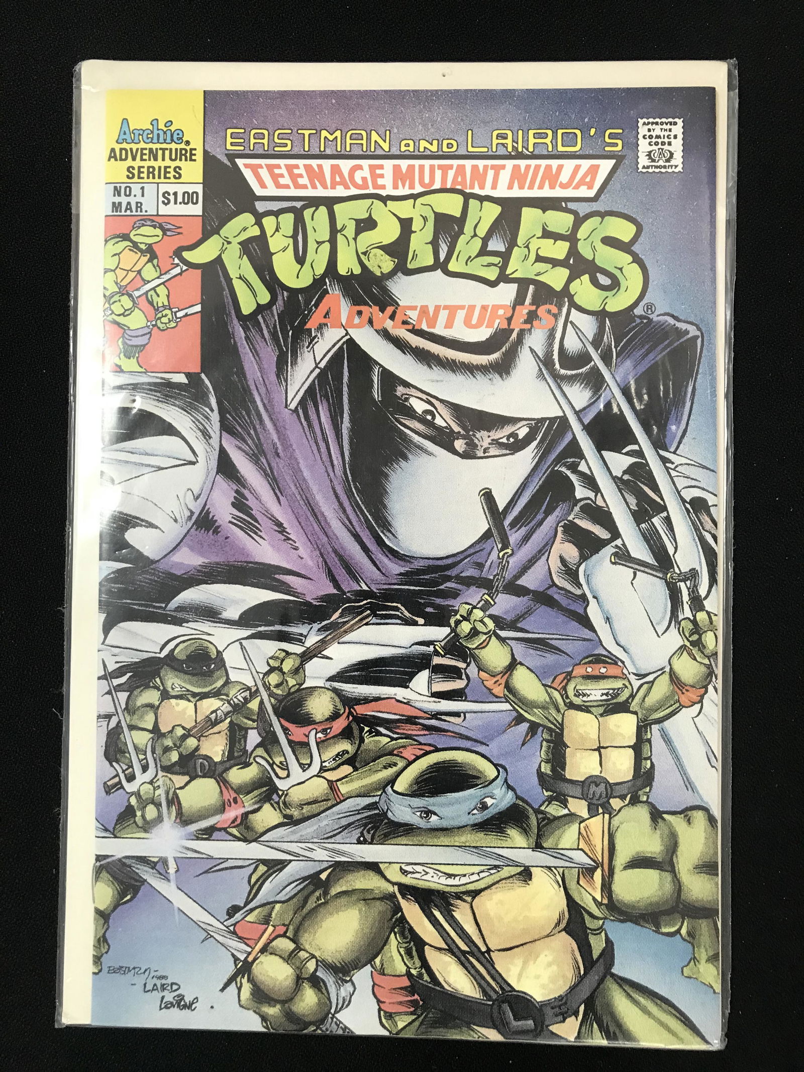 TEENAGE MUTANT NINJA TURTLES #1   (ARCHIE ANDVENTURE COMICS) (1 of 1)