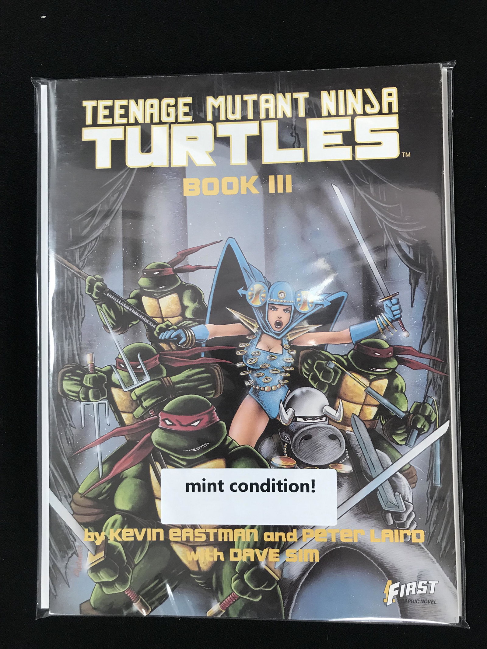 FIRST GRAPHIC NOVEL TEENAGE MUTANT NINJA TURTLES BOOK III: FIRST GRAPHIC NOVEL TEENAGE MUTANT NINJA TURTLES BOOK III