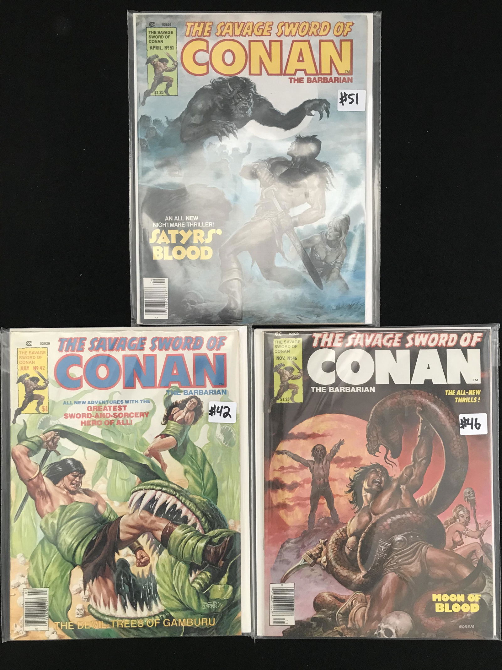 LOT OF 3  THE SAVAGE SWORD OF CONAN THE BARBARIAN COMICS (1 of 1)