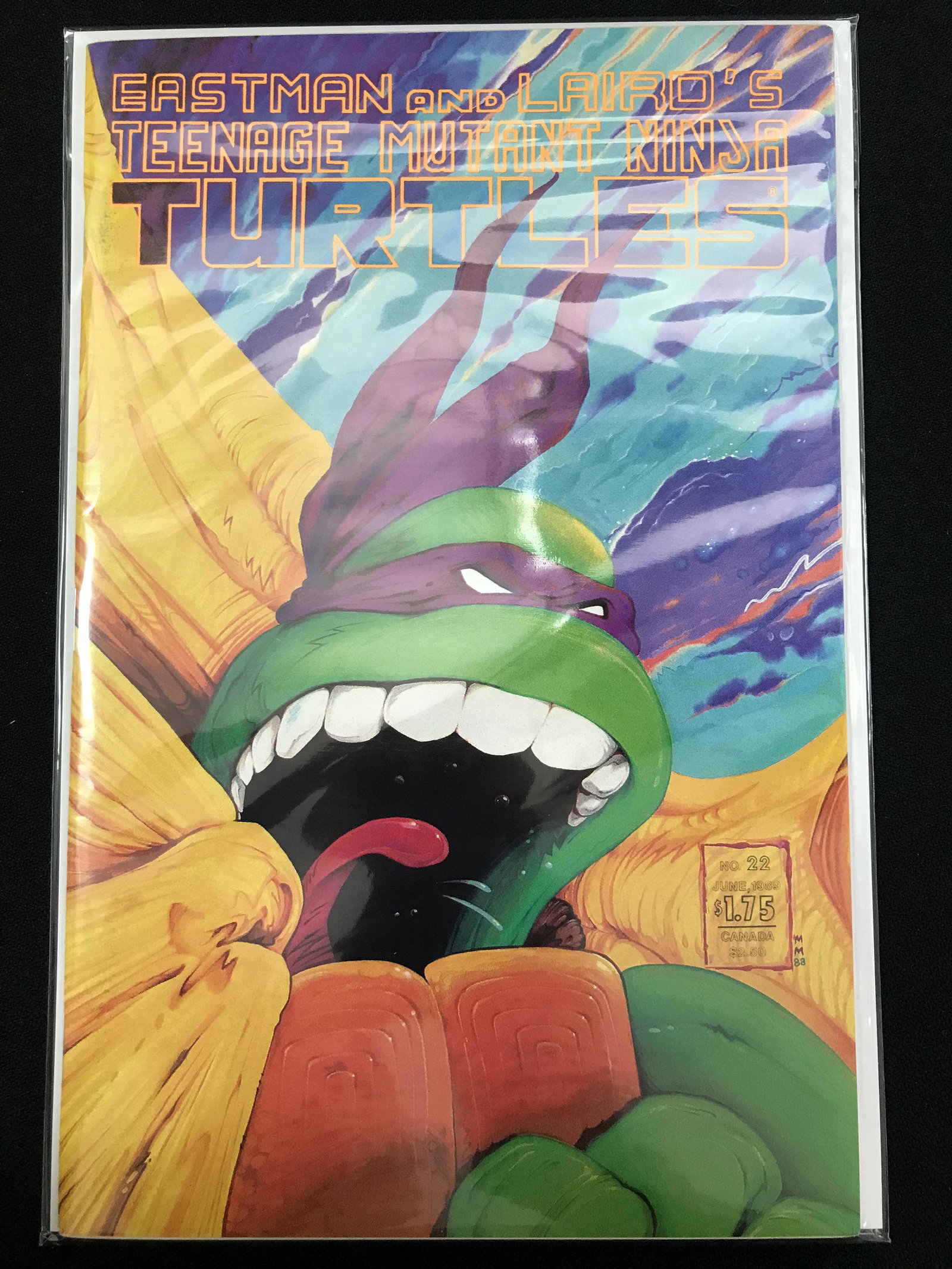 EASTMAN AND LAIRD'S TEENAGE MUTANT NINJA TURTLES COMIC: EASTMAN AND LAIRD'S TEENAGE MUTANT NINJA TURTLES COMIC