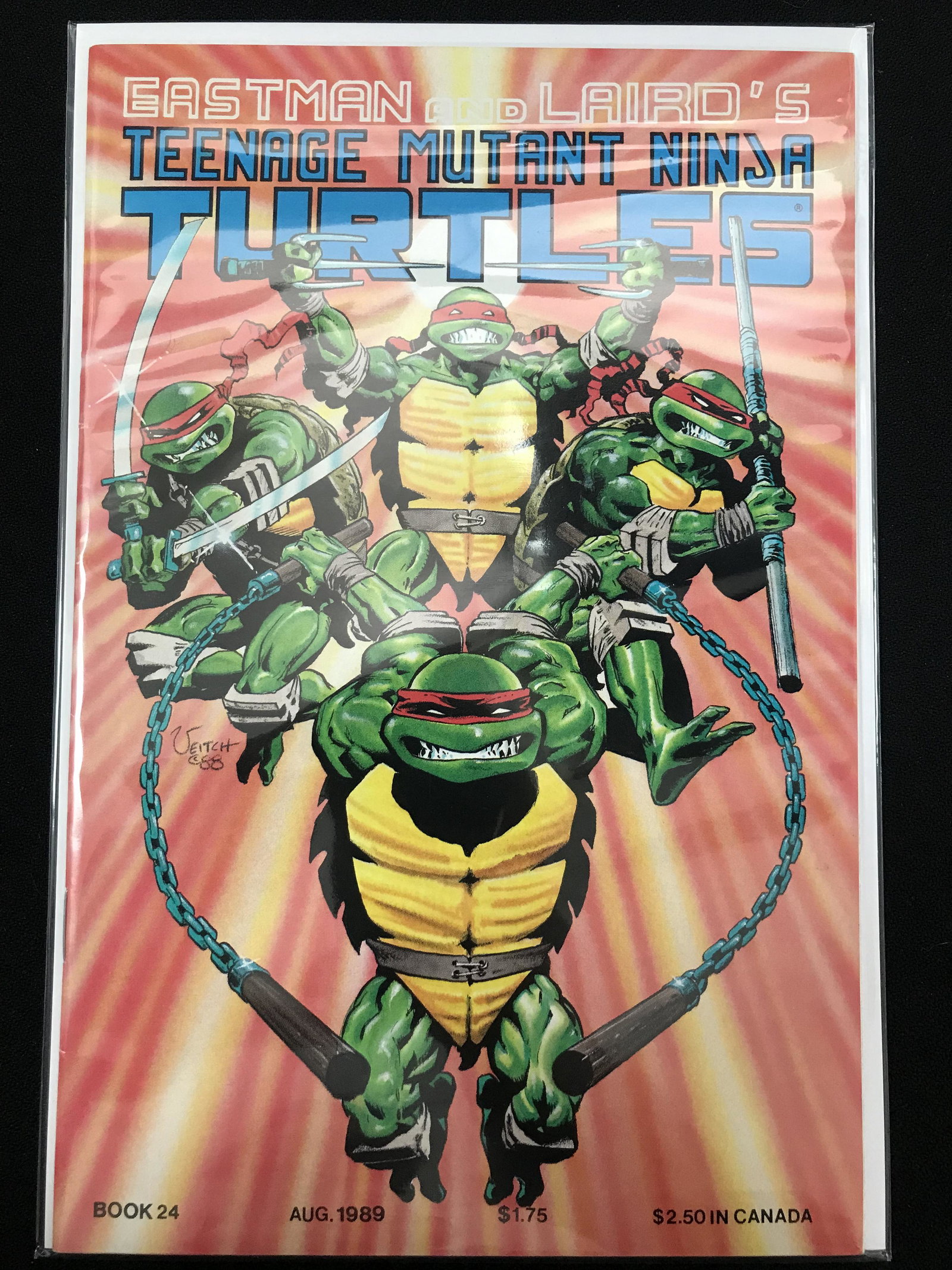 EASTMAN AND LAIRD'S TEENAGE MUTANT NINJA TURTLES COMIC: EASTMAN AND LAIRD'S TEENAGE MUTANT NINJA TURTLES COMIC