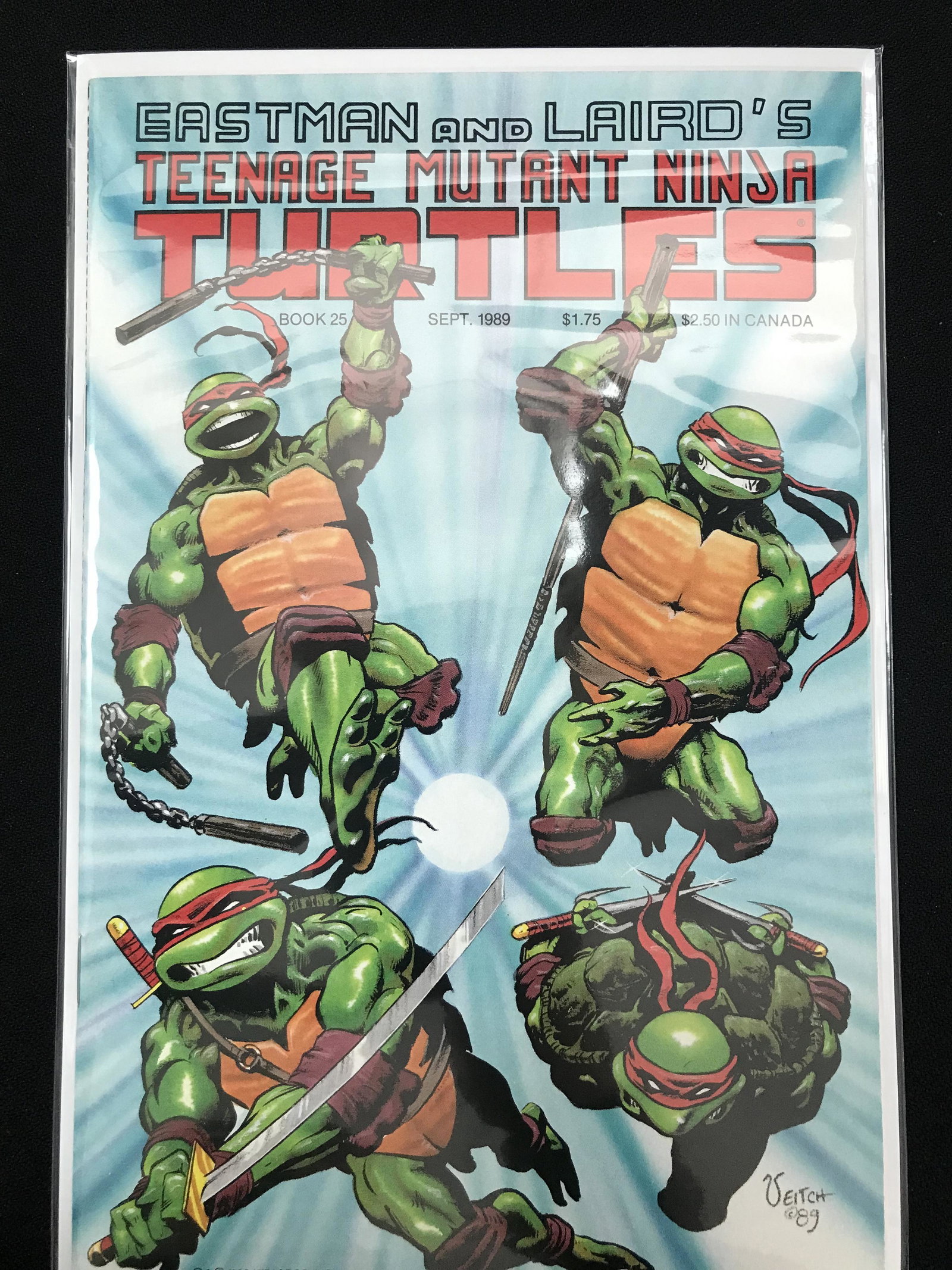 EASTMAN AND LAIRD'S TEENAGE MUTANT NINJA TURTLES COMIC: EASTMAN AND LAIRD'S TEENAGE MUTANT NINJA TURTLES COMIC