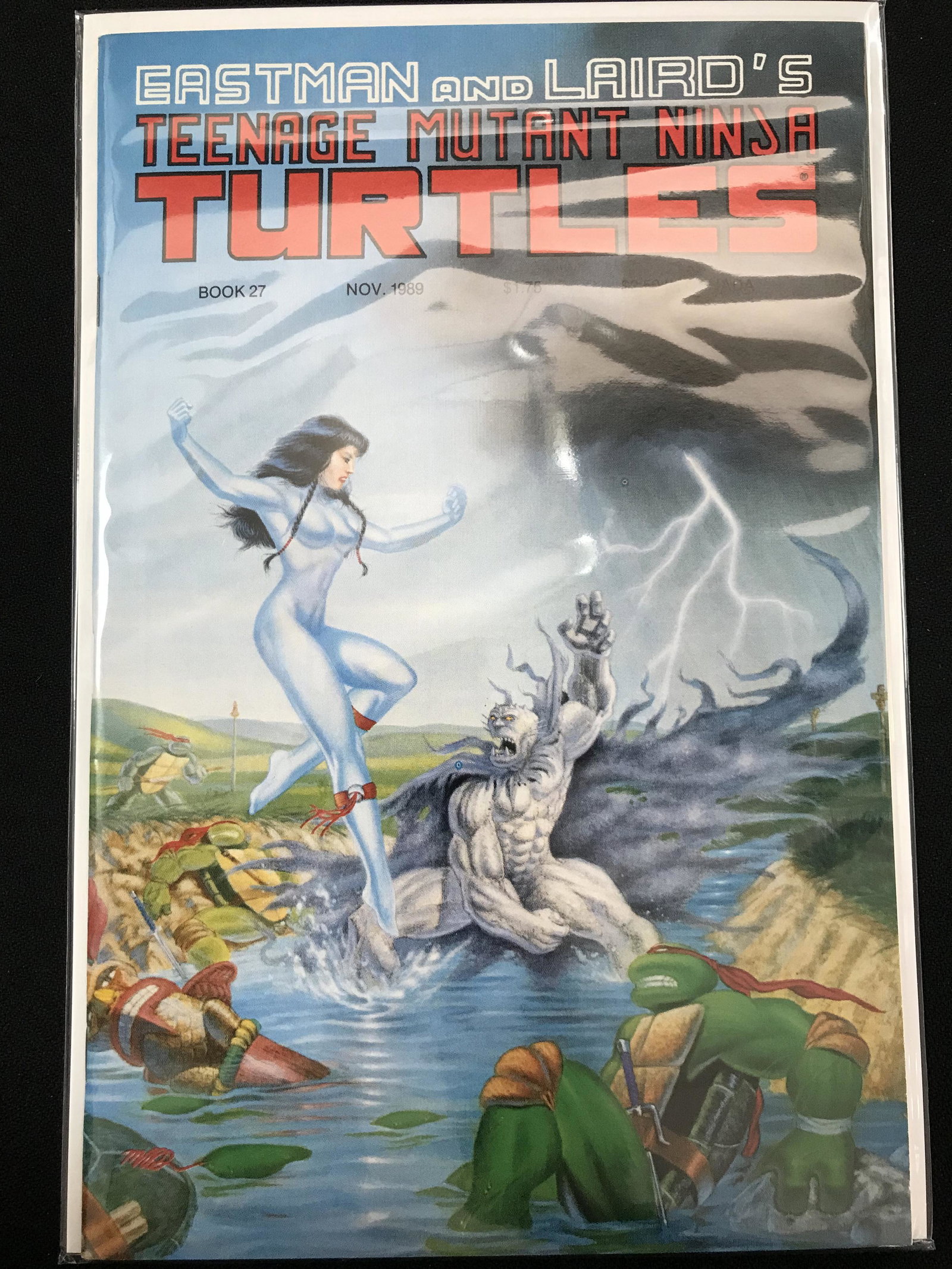 EASTMAN AND LAIRD'S TEENAGE MUTANT NINJA TURTLES COMIC: EASTMAN AND LAIRD'S TEENAGE MUTANT NINJA TURTLES COMIC