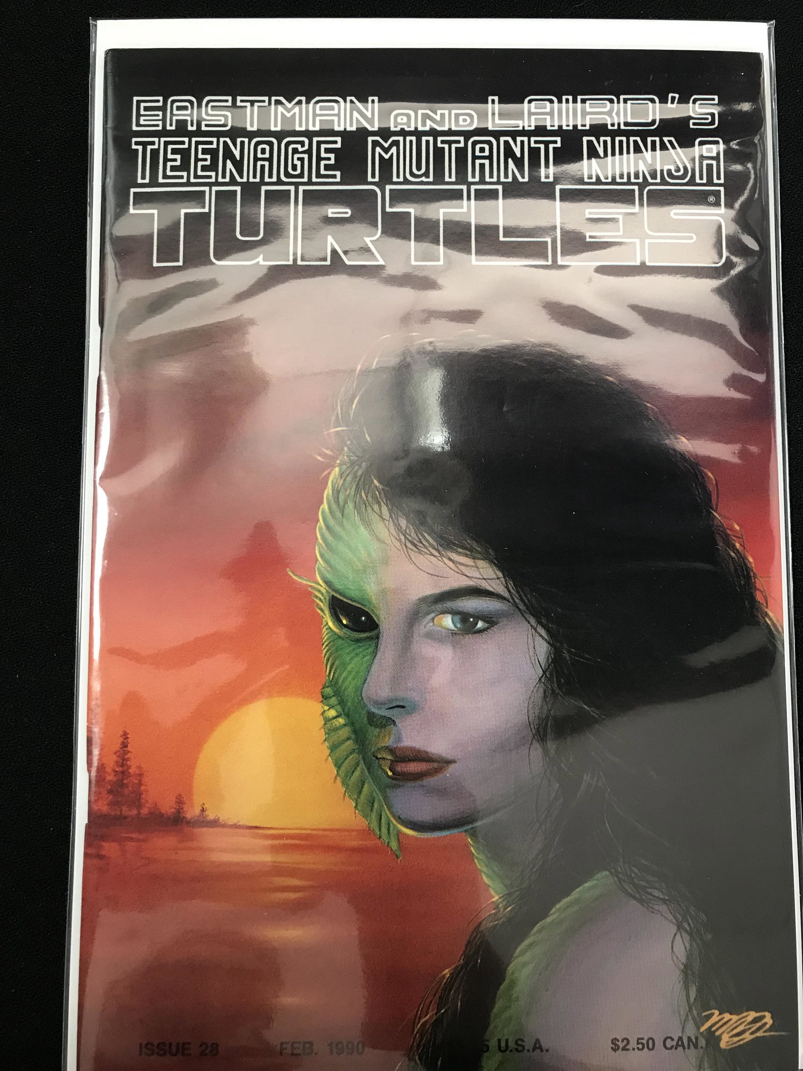 EASTMAN AND LAIRD'S TEENAGE MUTANT NINJA TURTLES COMIC: EASTMAN AND LAIRD'S TEENAGE MUTANT NINJA TURTLES COMIC