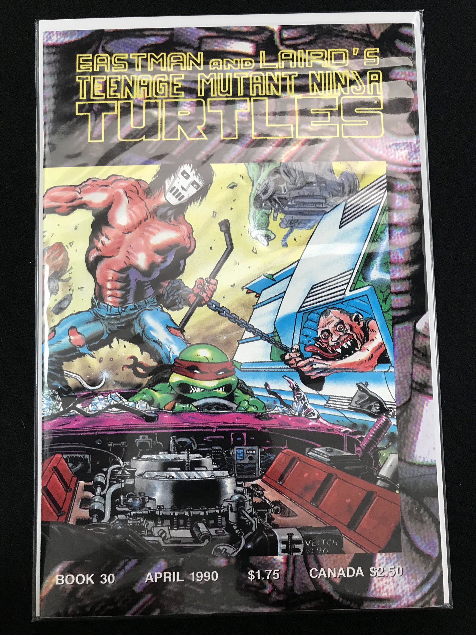 EASTMAN AND LAIRD'S TEENAGE MUTANT NINJA TURTLES COMIC: EASTMAN AND LAIRD'S TEENAGE MUTANT NINJA TURTLES COMIC