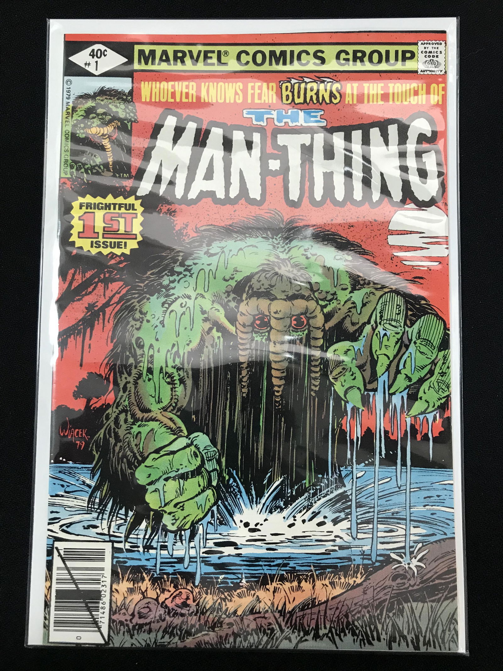 THE MAN-THING #1 (MARVEL COMICS) (1 of 1)