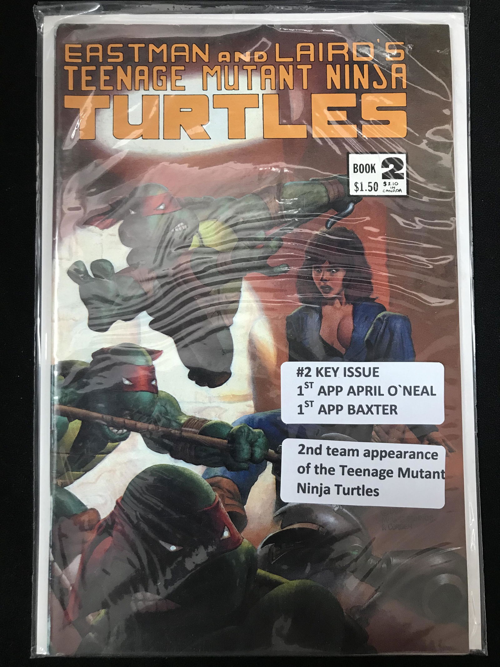 EASTMAN AND LAIRD'S TEENAGE MUTANT NINJA TURTLES COMIC #2 KEY ISSUE (1 of 1)