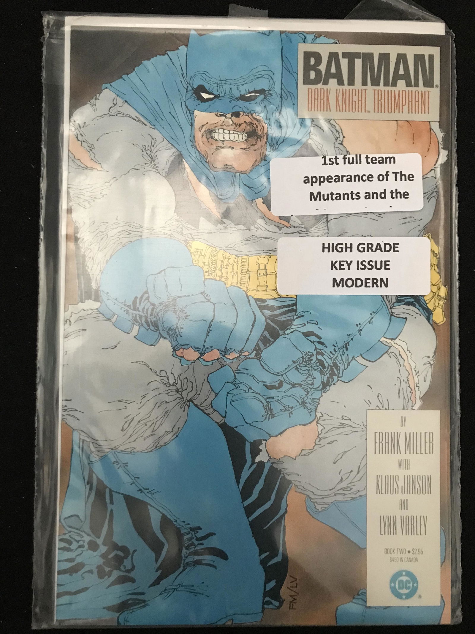 DC COMICS BATMAN DARK KNIGHT TRIUMPHANT NO. 2 (1 of 1)