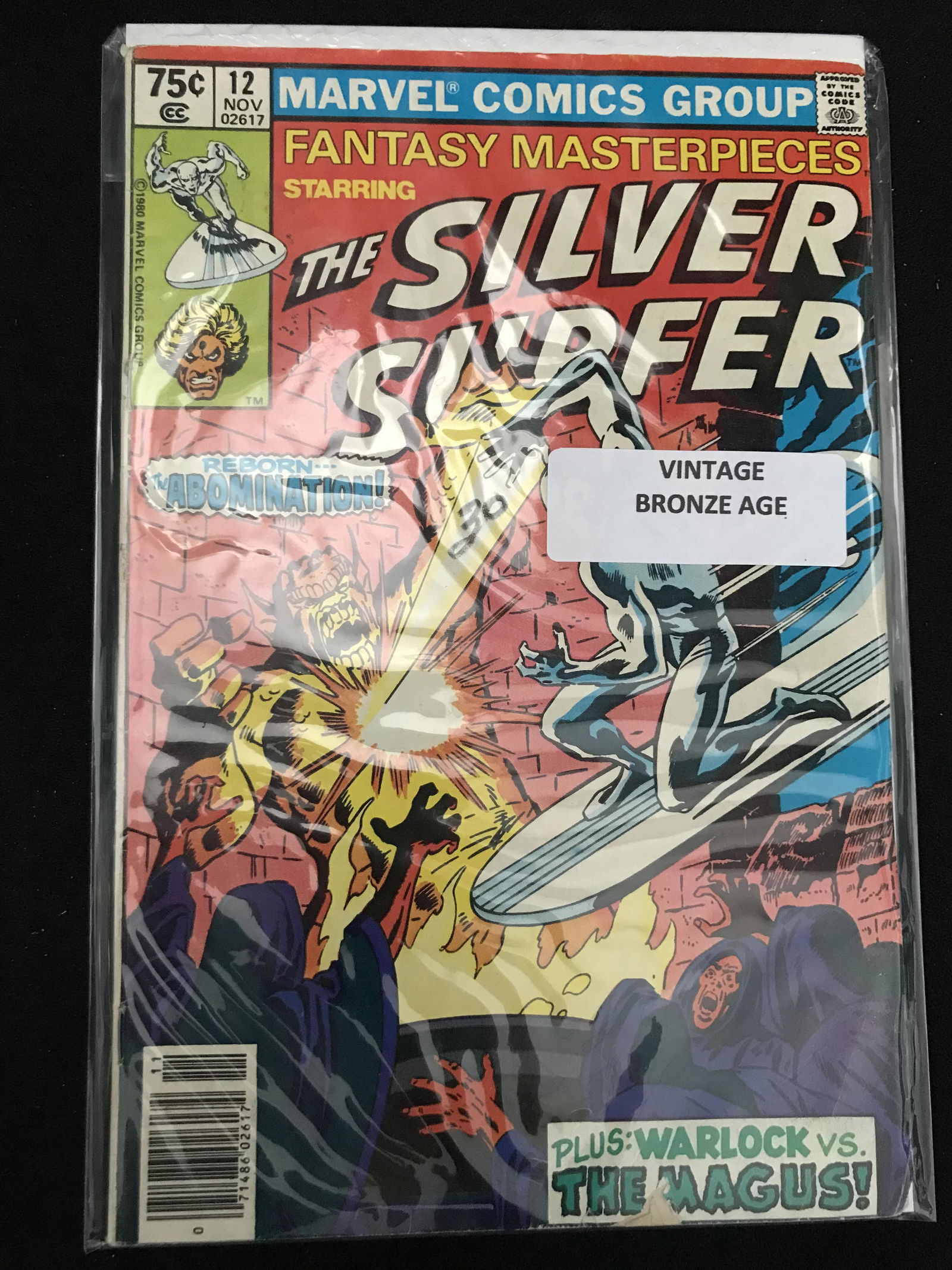 MARVEL COMICS SILVER SURFER NO. 12 (1 of 1)