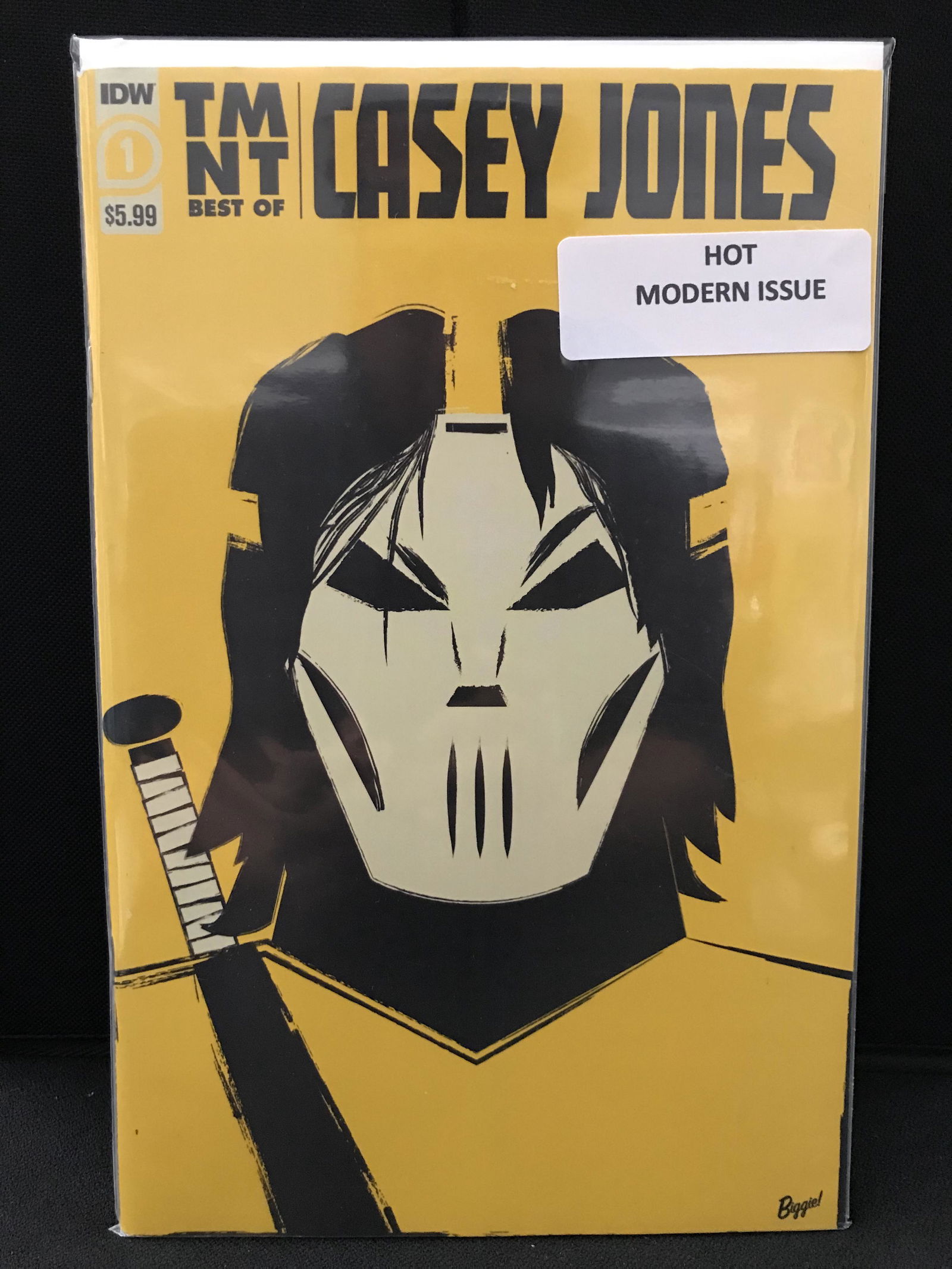 IDW COMICS TMNT #1 CASEY JONES (1 of 1)