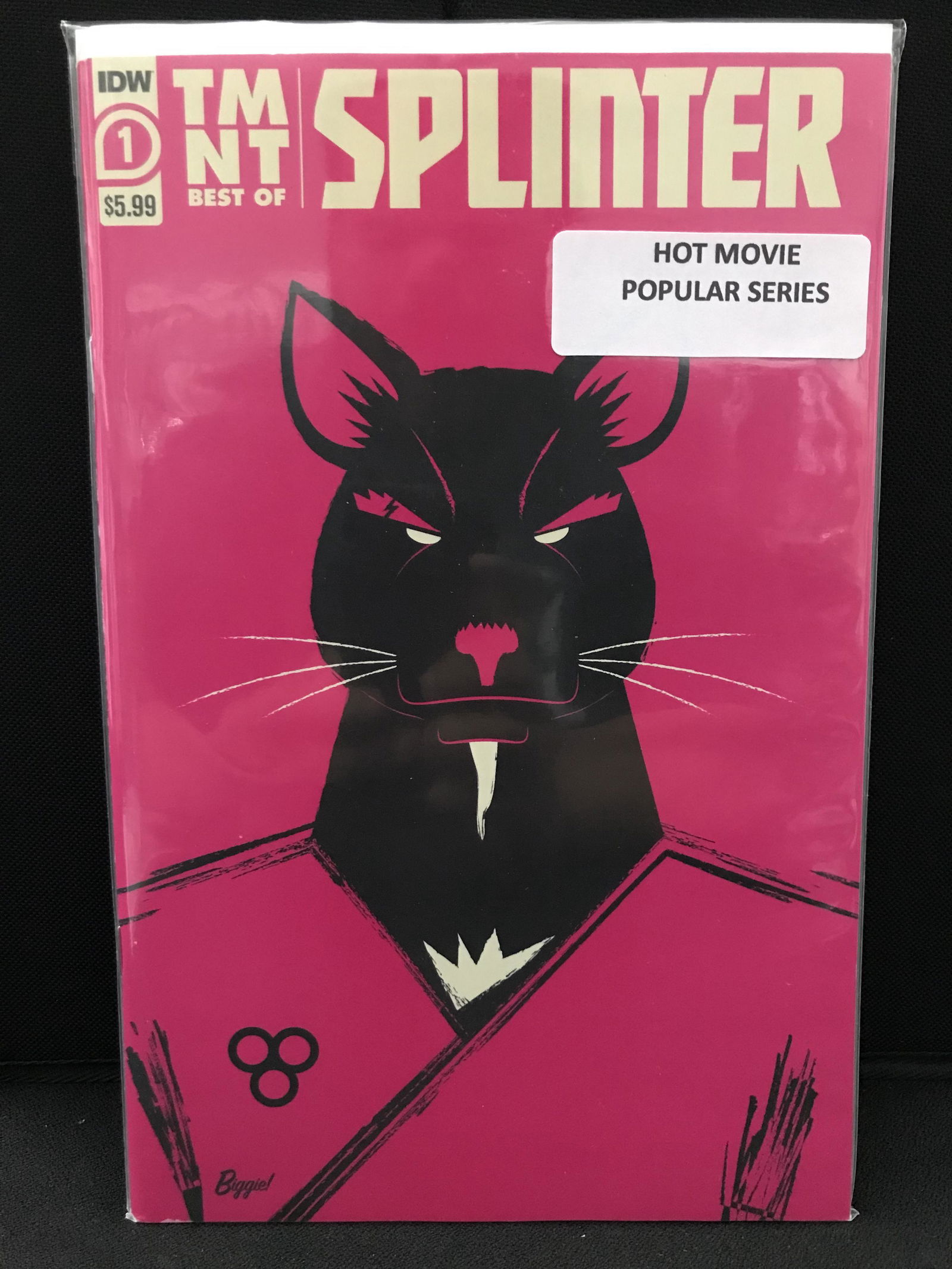 IDW COMICS TMNT #1 SPLINTER (1 of 1)