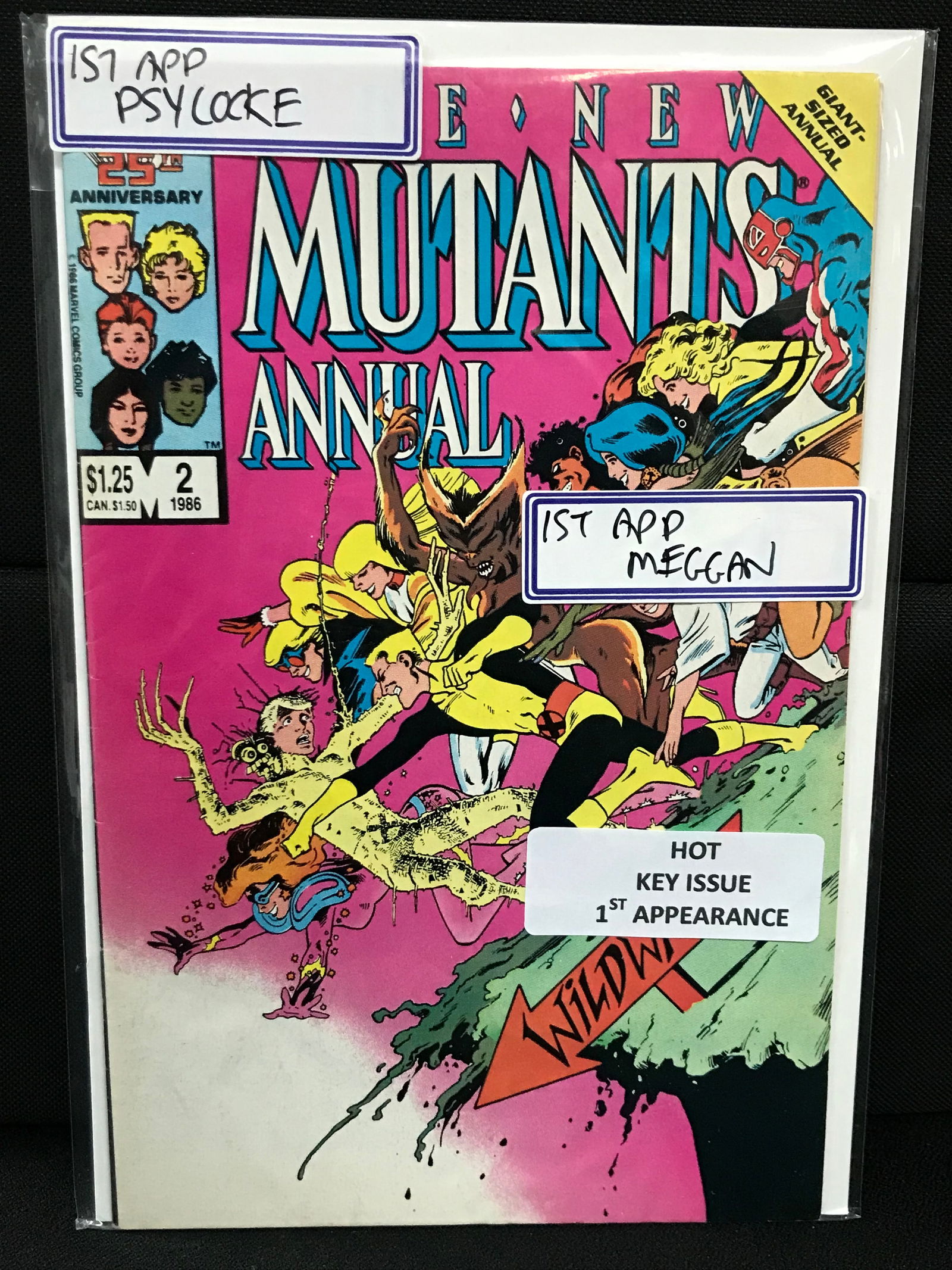 MARVEL COMICS THE NEW MUTANTS NO. 2 (1ST APP MEGGAN) (1 of 1)