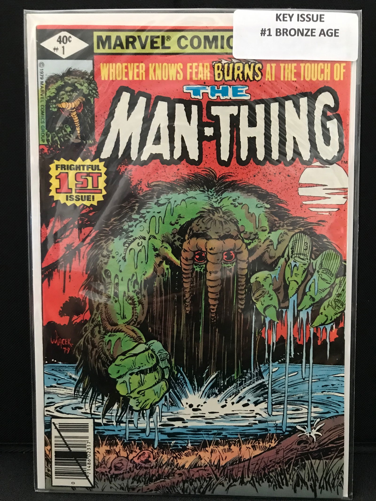 THE MAN-THING #1 (MARVEL COMICS) (1 of 1)