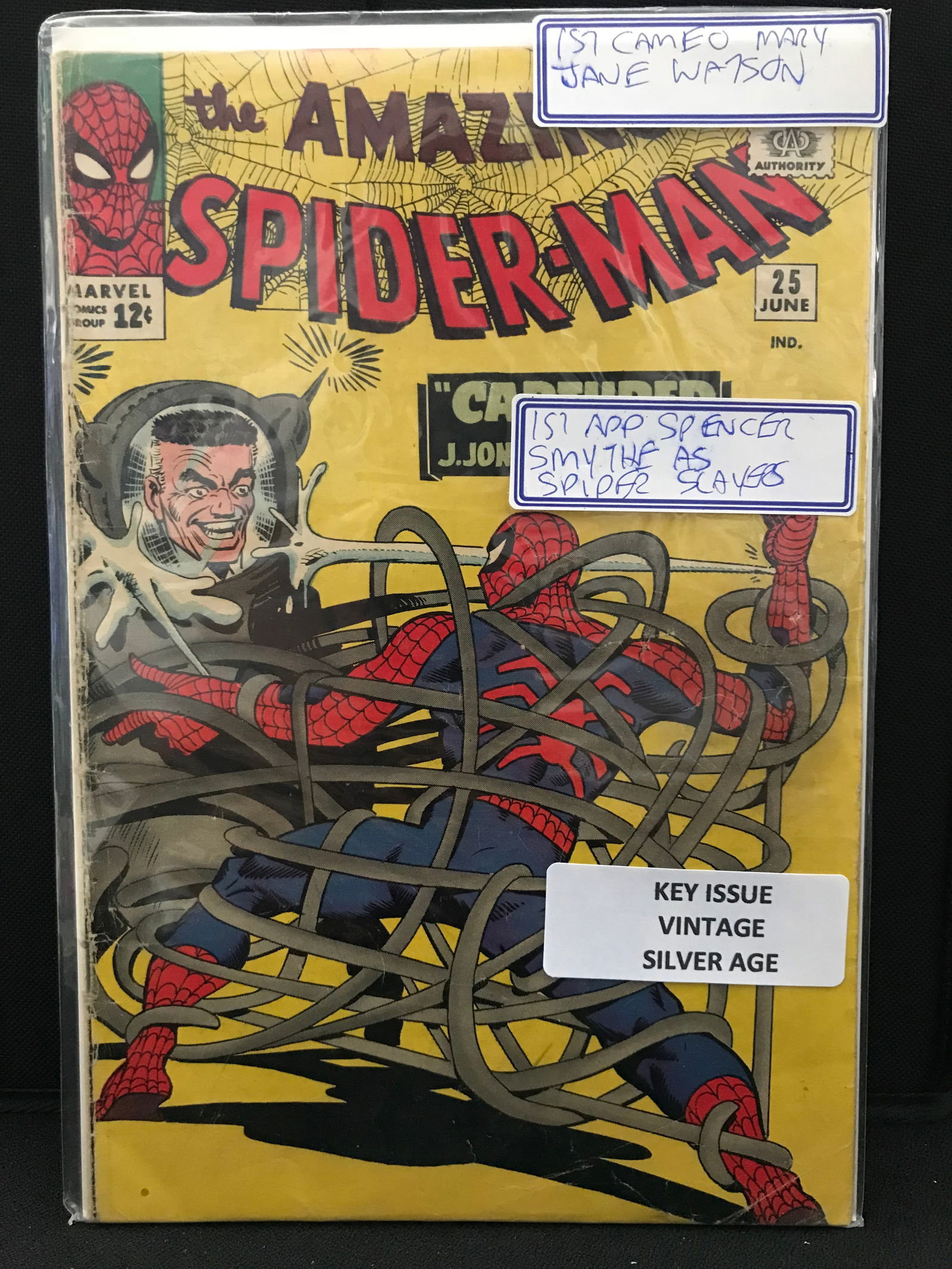 The AMAZING SPIDER-MAN #25 KEY ISSUE 1 APP OF MARY JANE WATSON   (MARVEL COMICS) (1 of 1)