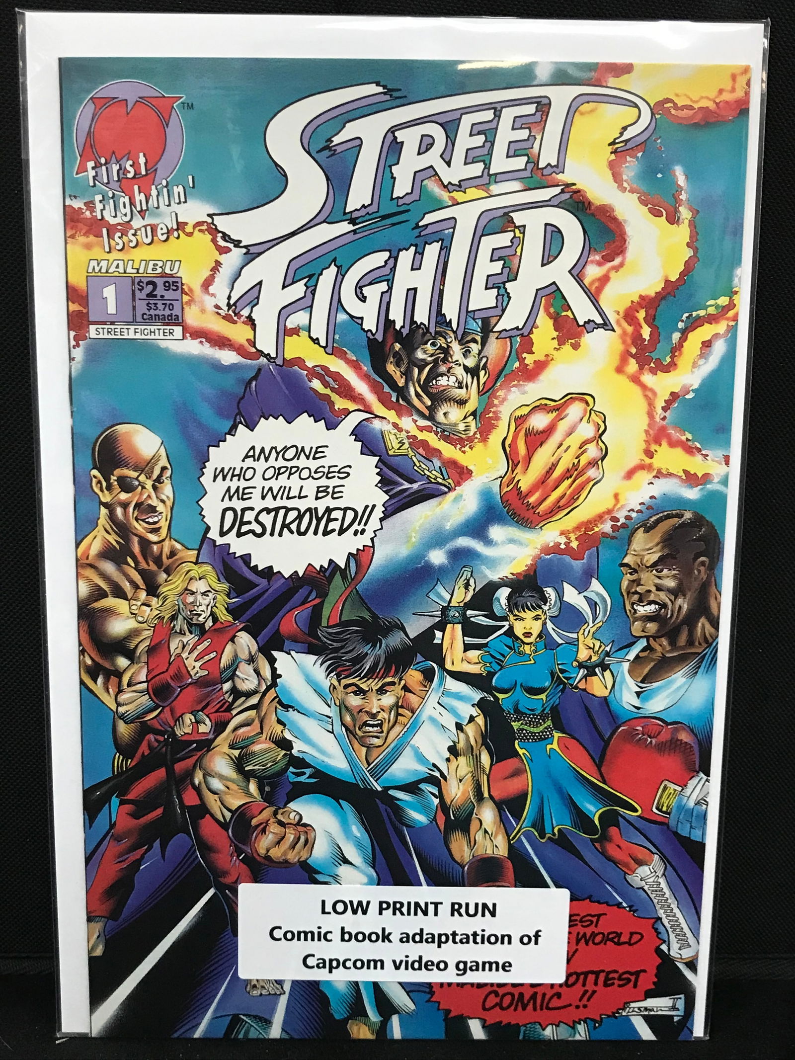 MALIBU COMICS NO.1 STREET FIGHTER (LOW PRINT RUN) (1 of 1)