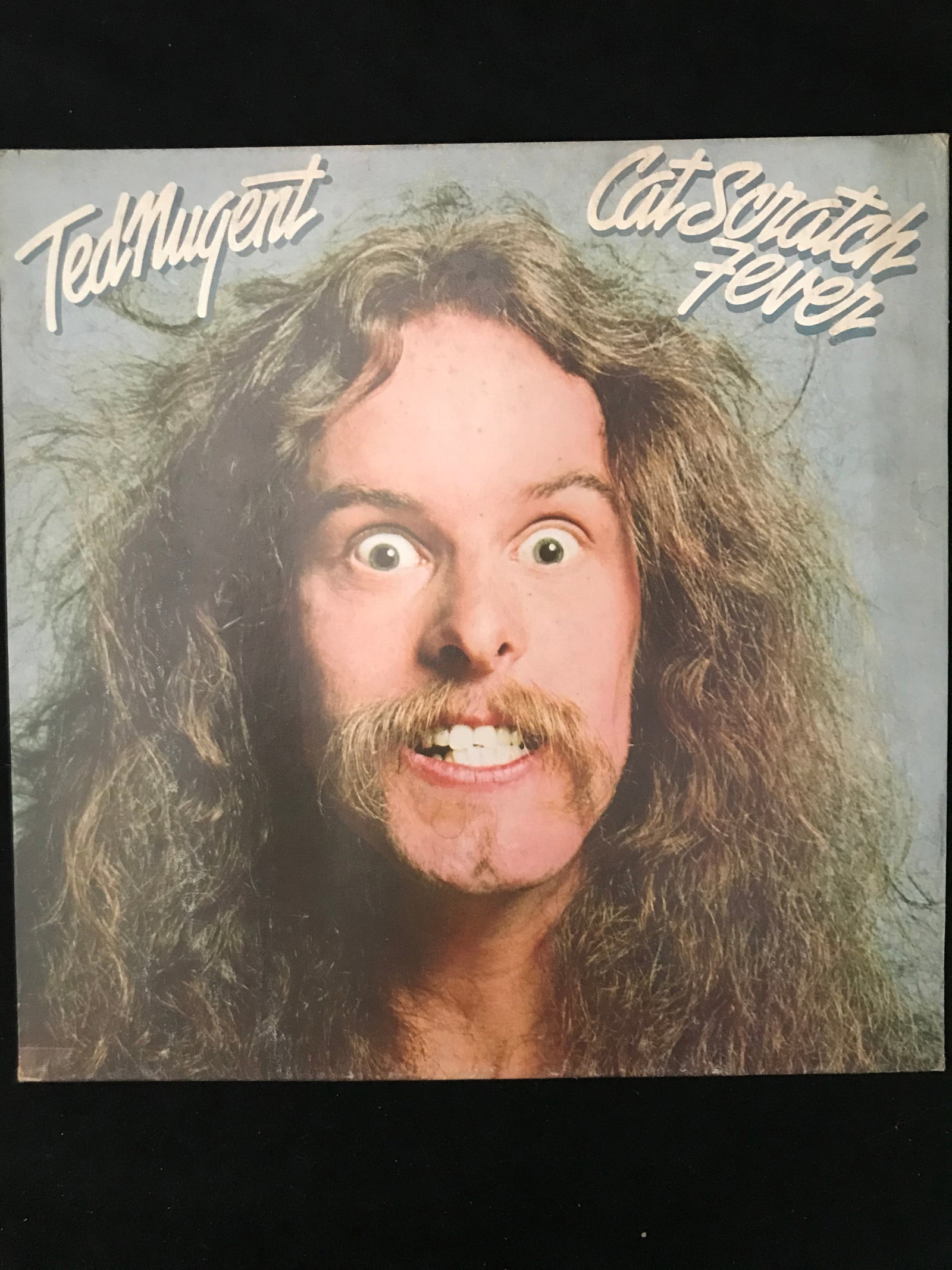 VINYL RECORD TED NUGENT GOOD CONDITION: Prices are in Canadian dollars